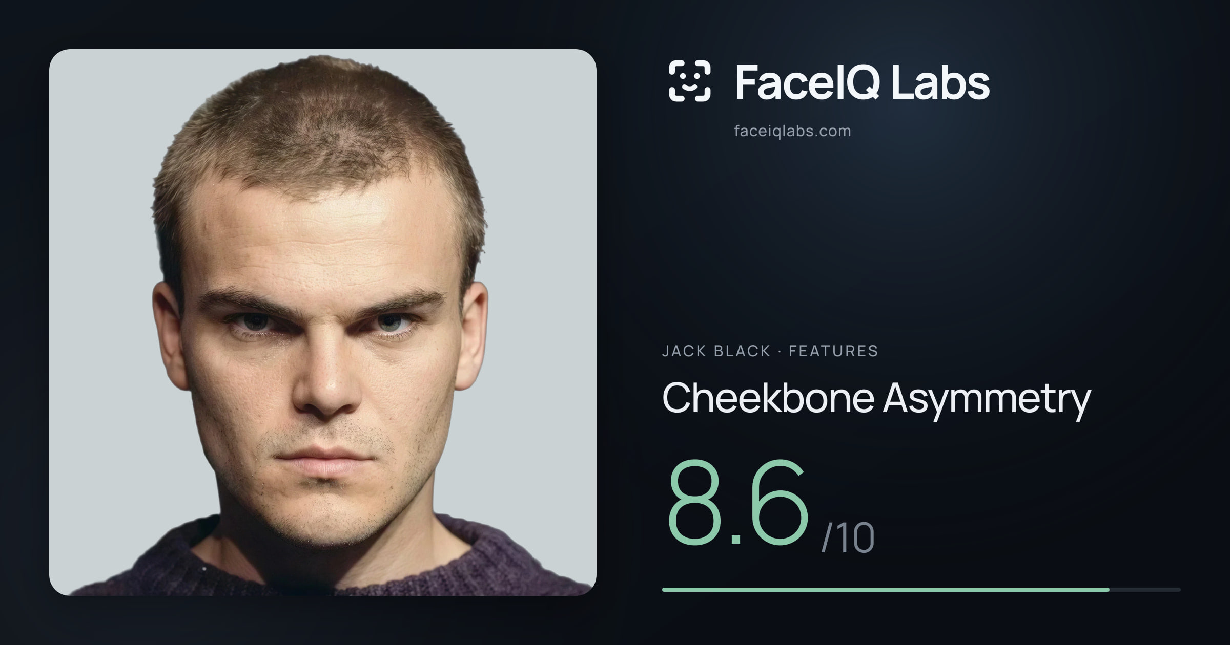 Jack Black Cheekbone Asymmetry: 8.6/10, drawn on the photo