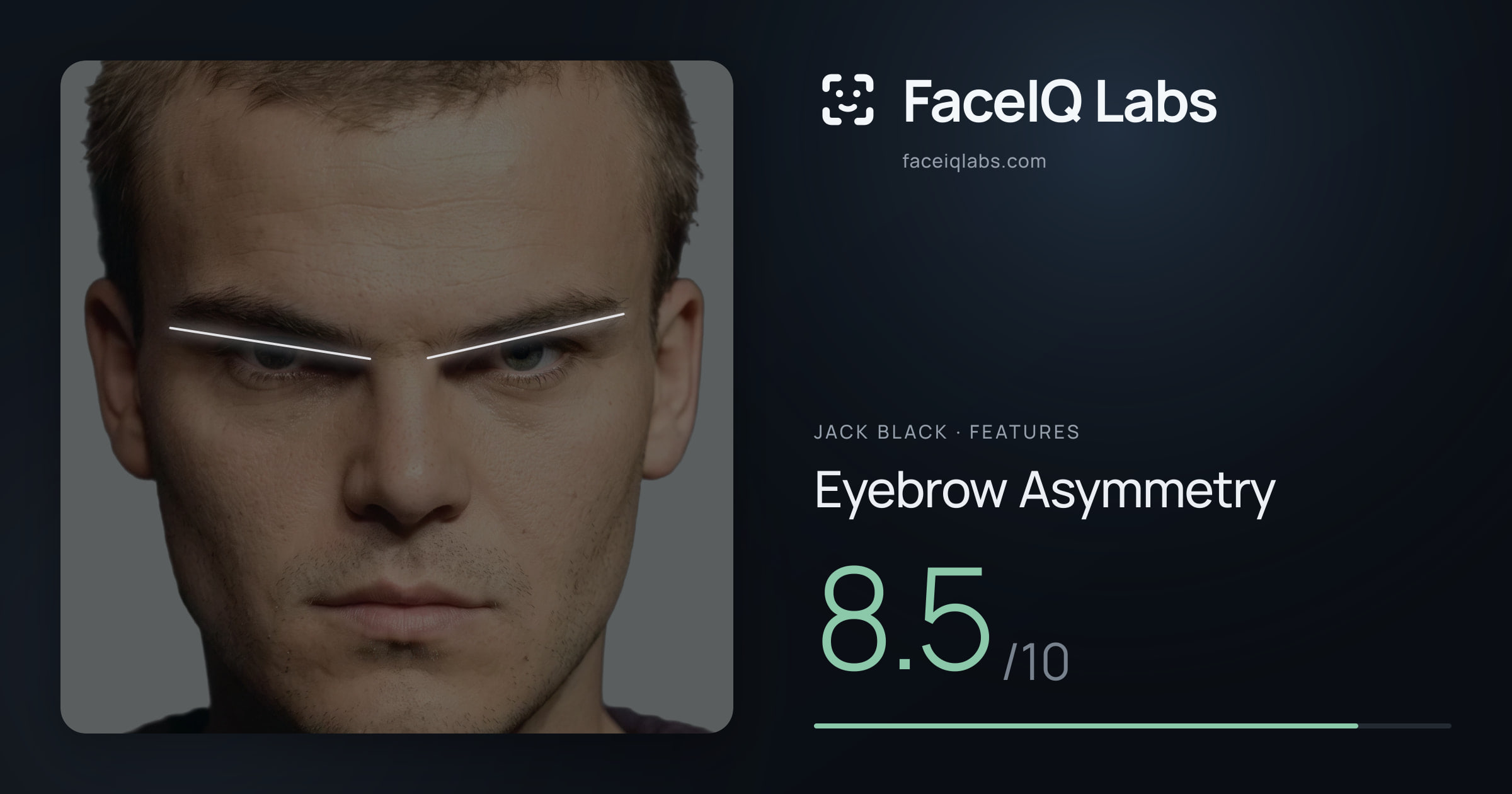 Jack Black Eyebrow Asymmetry: 8.5/10, drawn on the photo