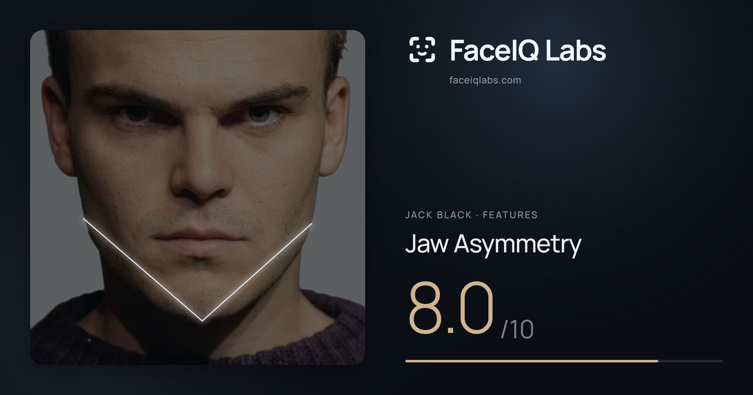 Jack Black Jaw Asymmetry: 8.0/10, drawn on the photo