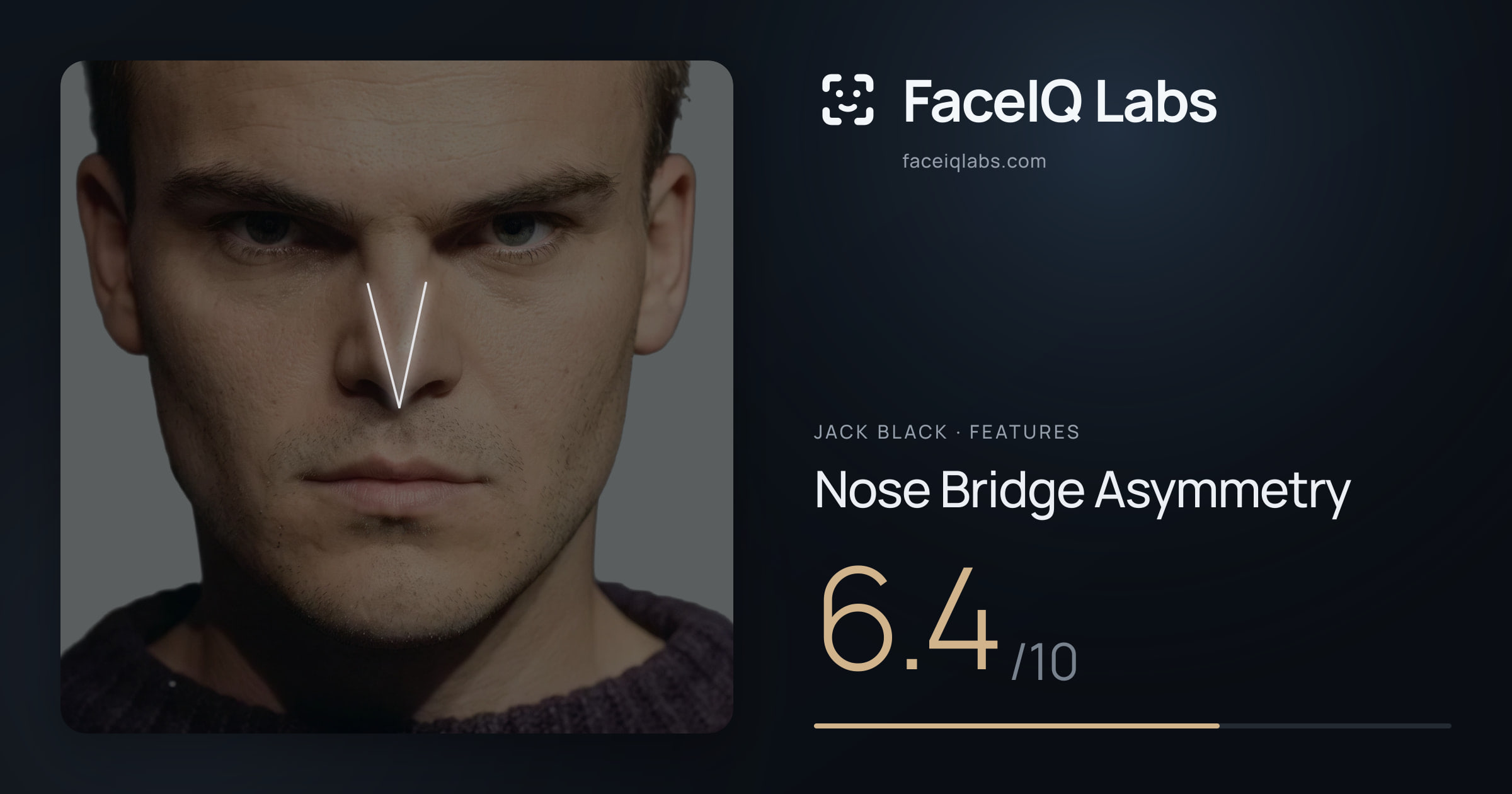 Jack Black Nose Bridge Asymmetry: 6.4/10, drawn on the photo