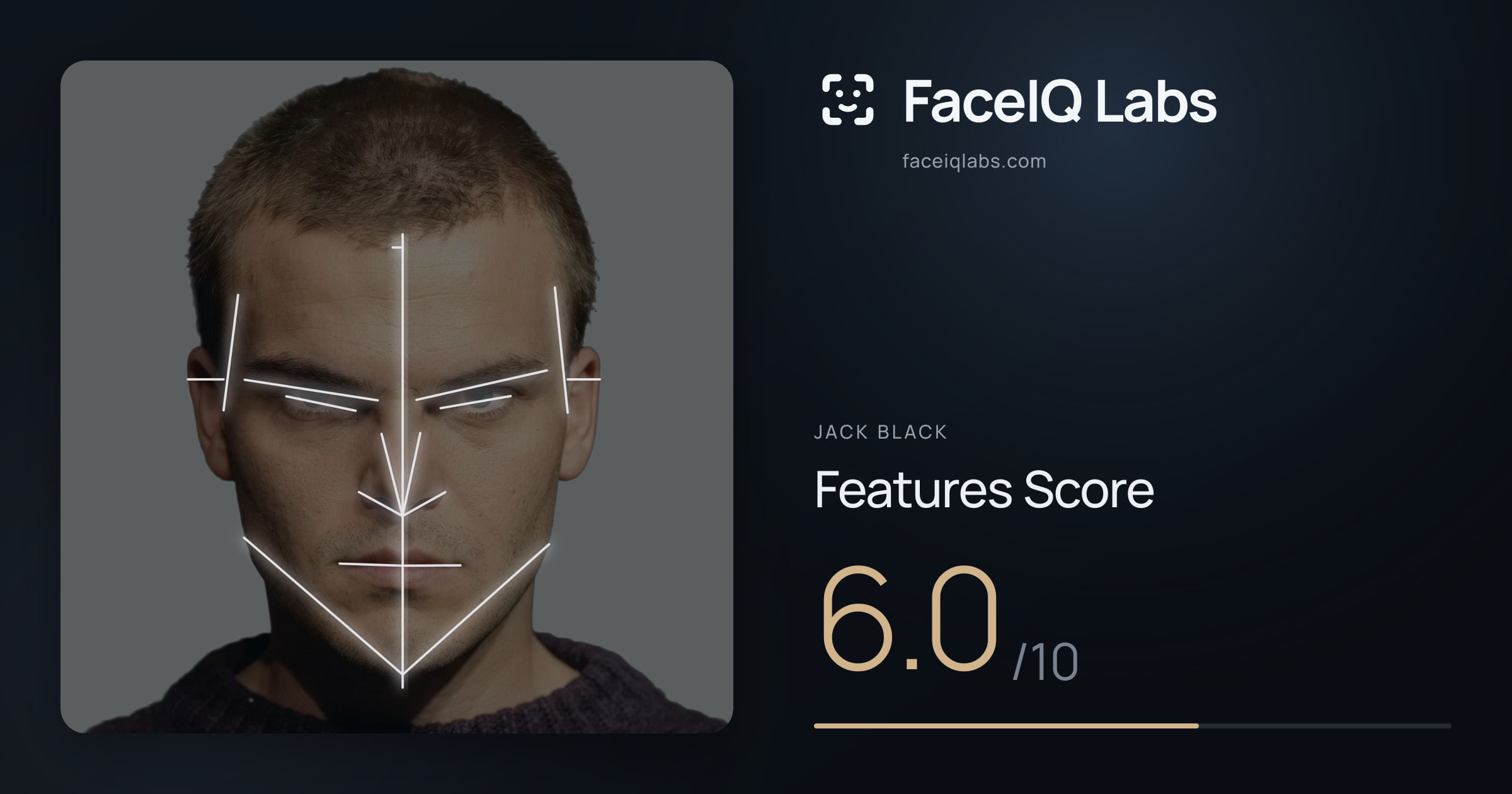 Jack Black Features: 6.0/10, with each assessment drawn on the photo