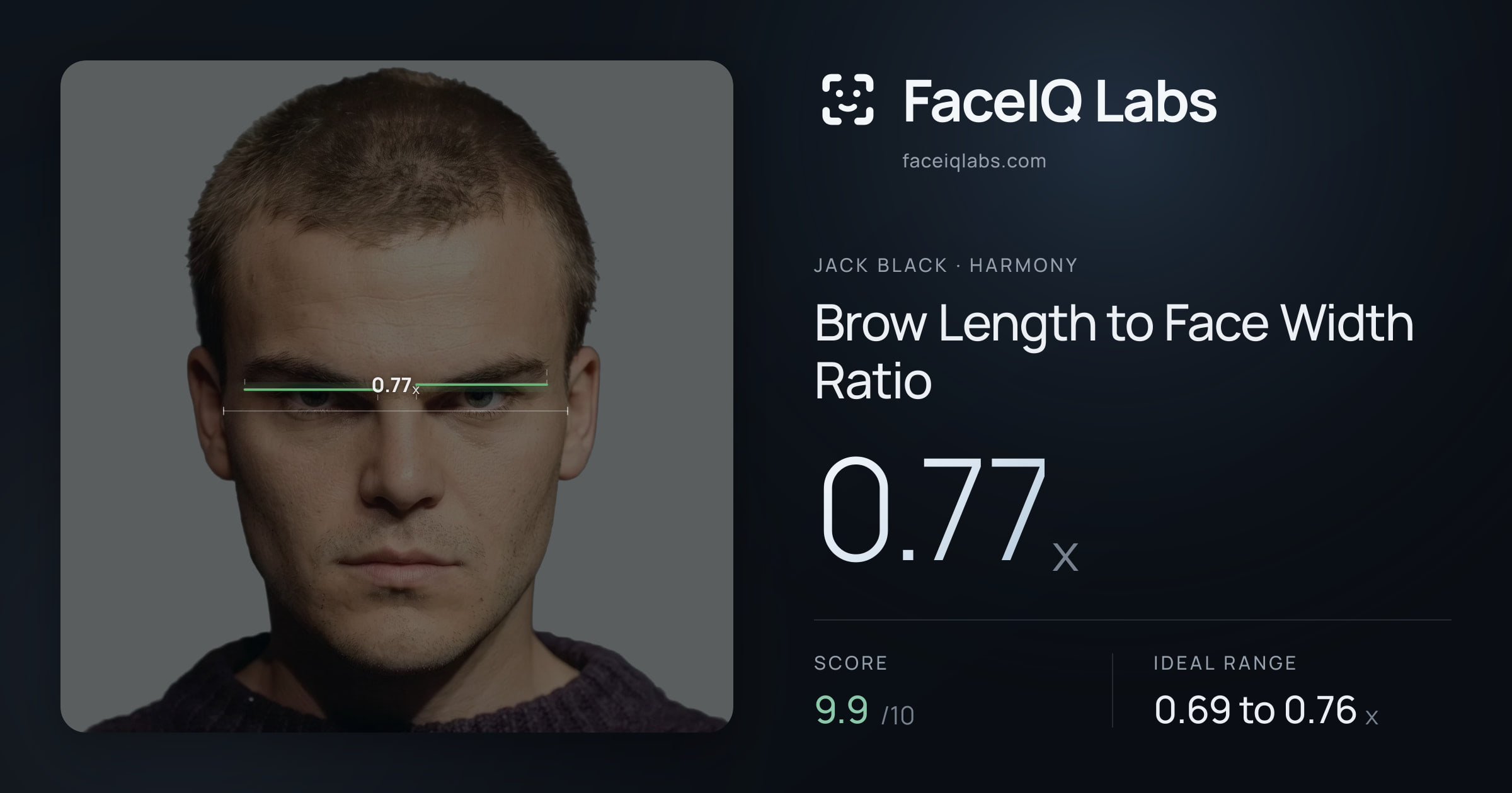Jack Black Brow Length to Face Width Ratio: 0.77x, drawn on the photo