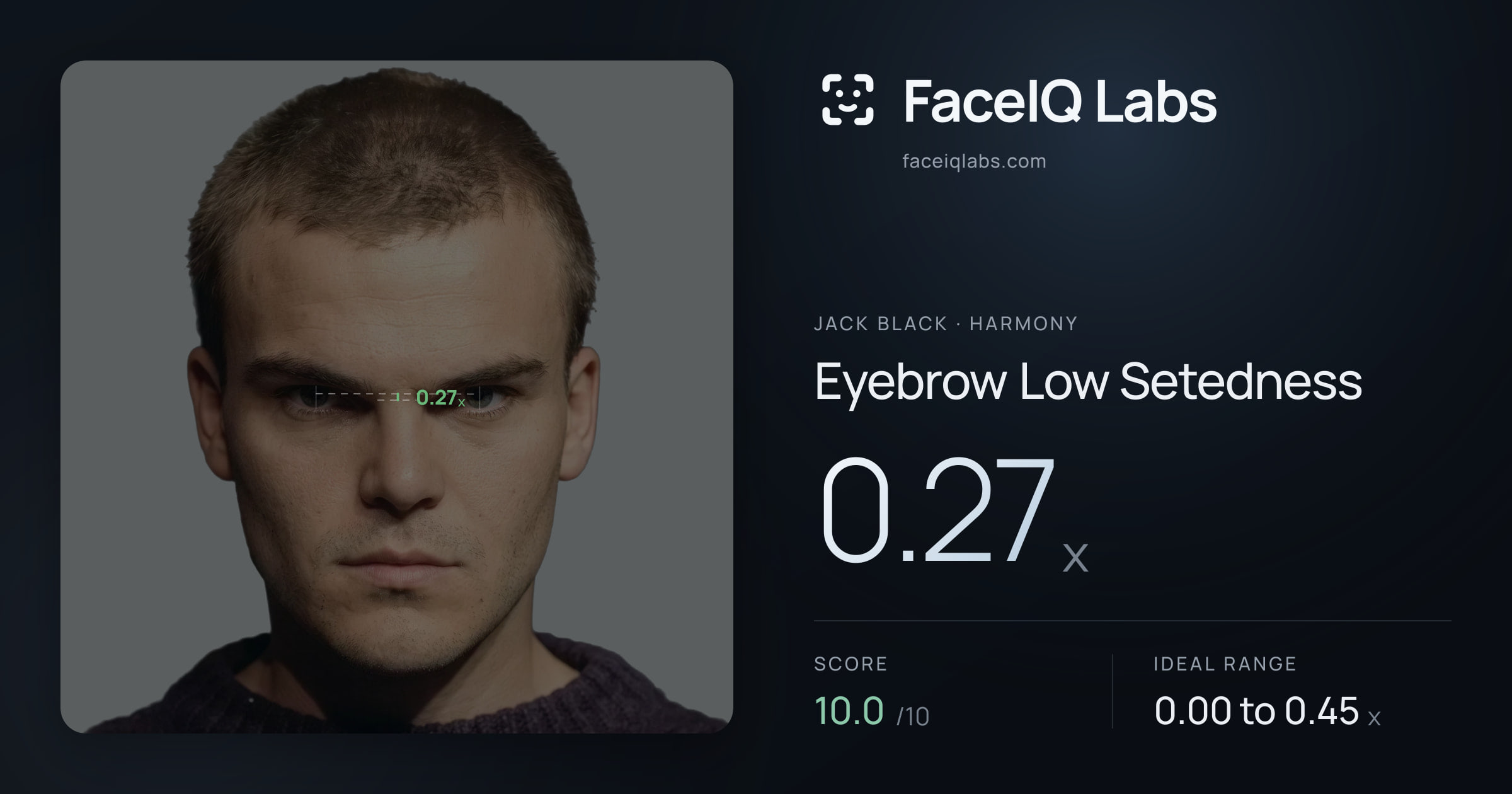 Jack Black Eyebrow Low Setedness: 0.27x, drawn on the photo