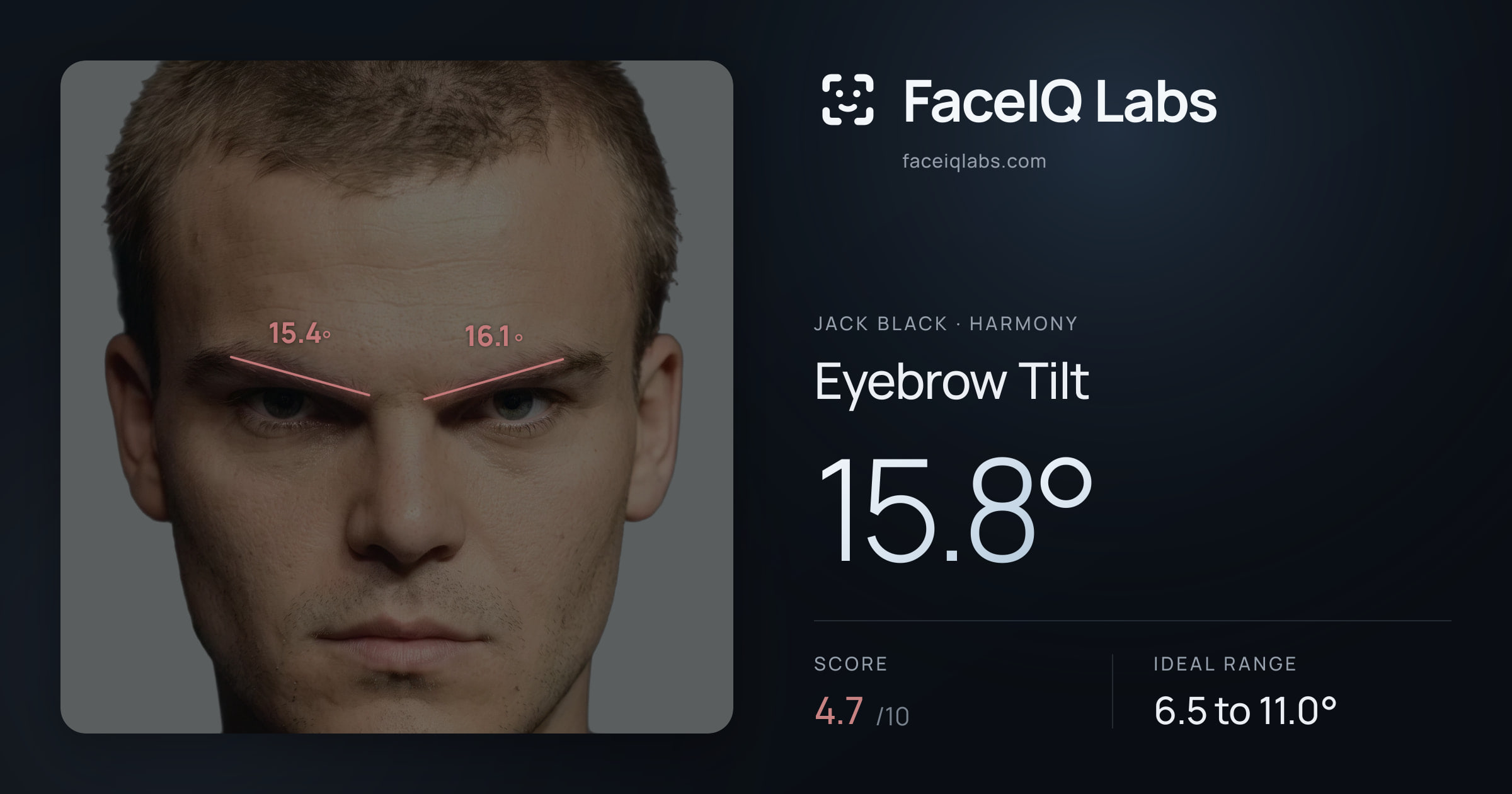 Jack Black Eyebrow Tilt: 15.8°, drawn on the photo