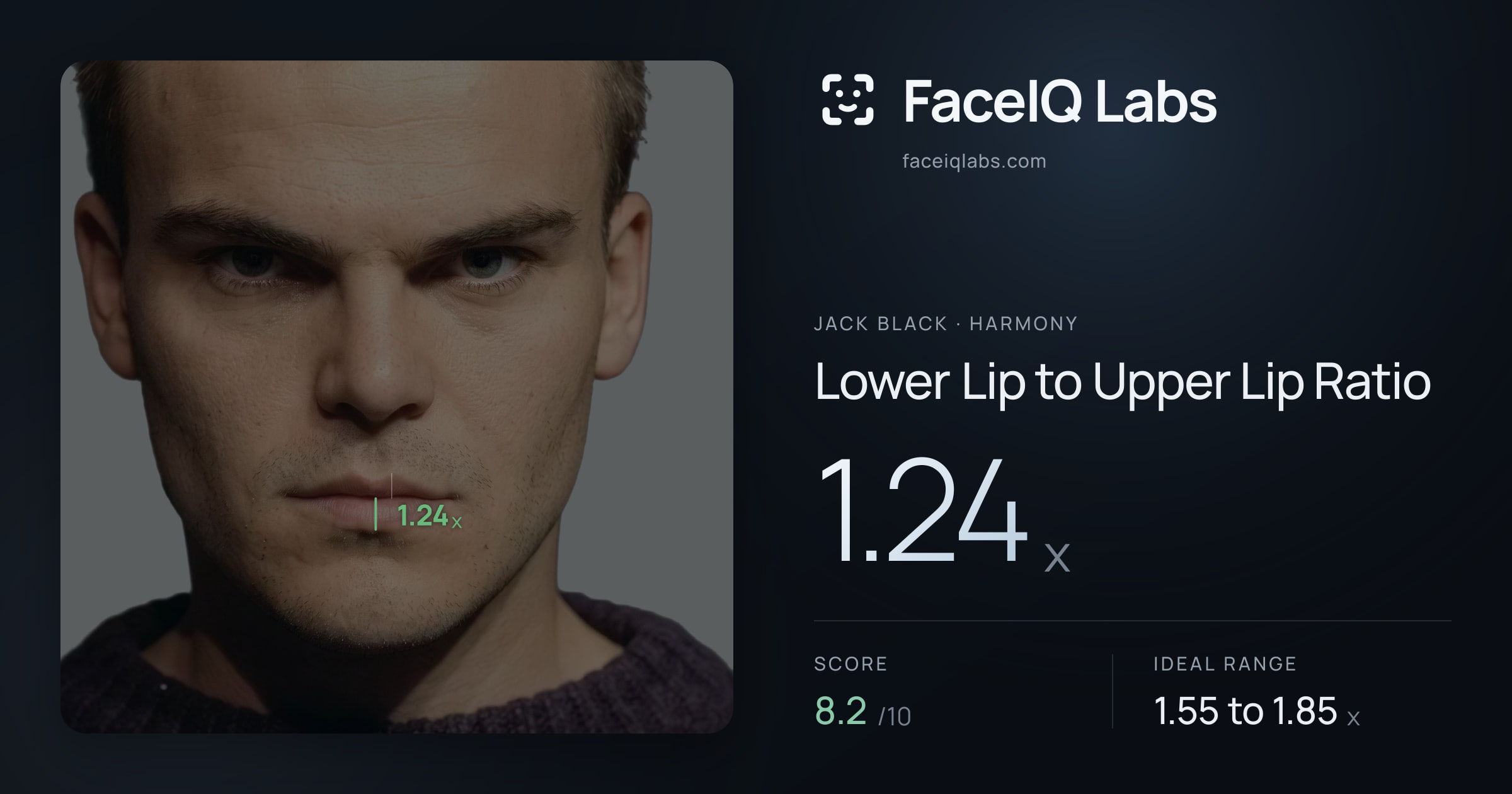 Jack Black Lower Lip to Upper Lip Ratio: 1.24x, drawn on the photo