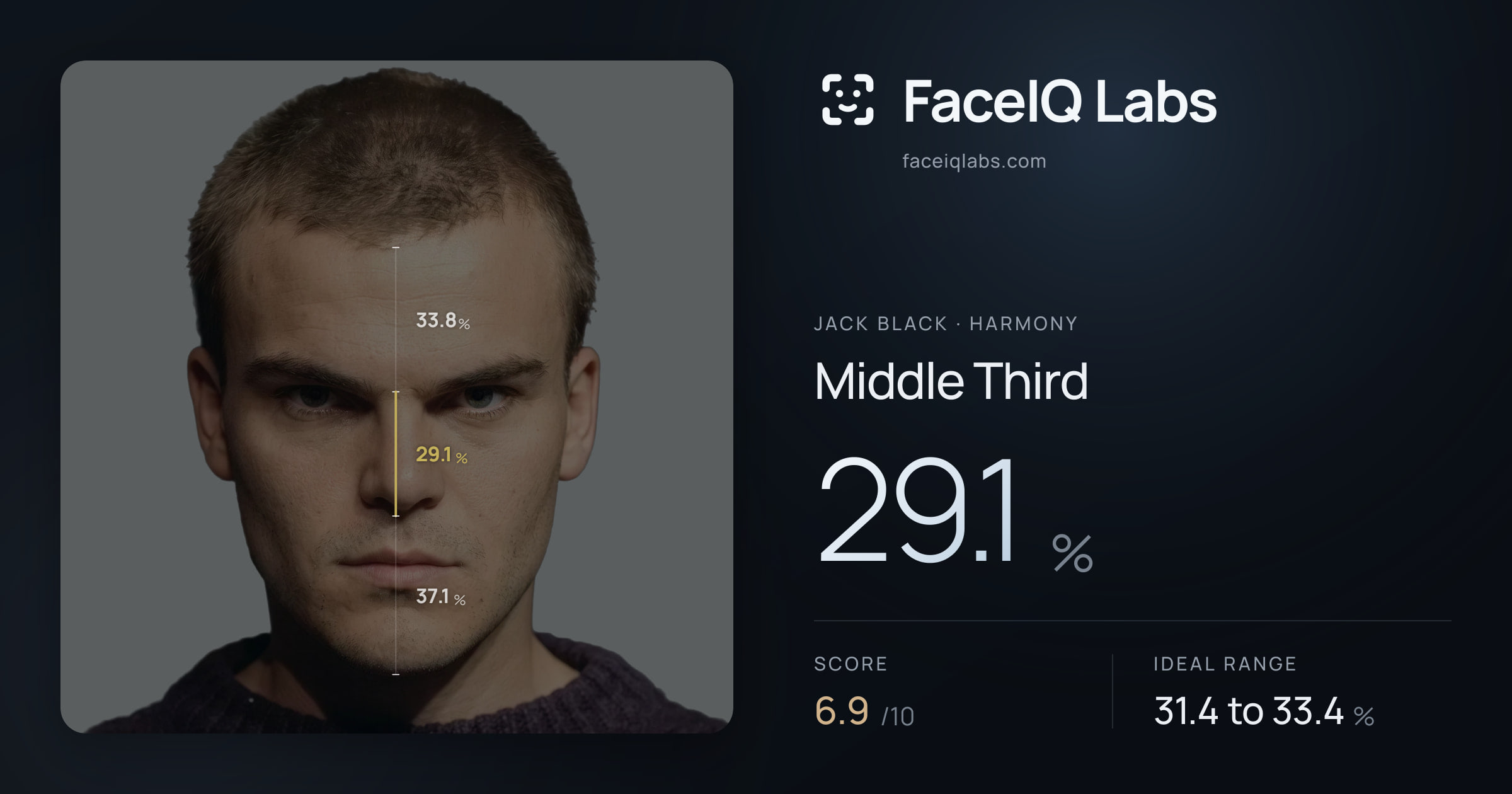 Jack Black Middle Third: 29.1%, drawn on the photo