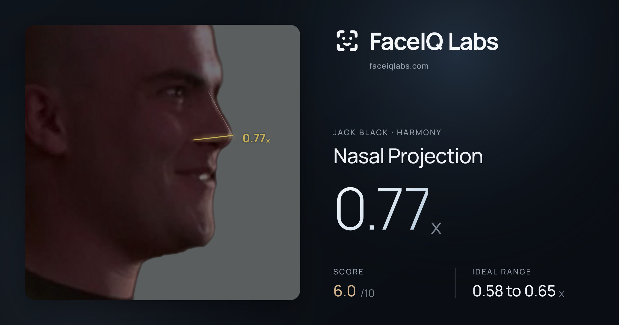 Jack Black Nasal Projection: 0.77x, drawn on the photo