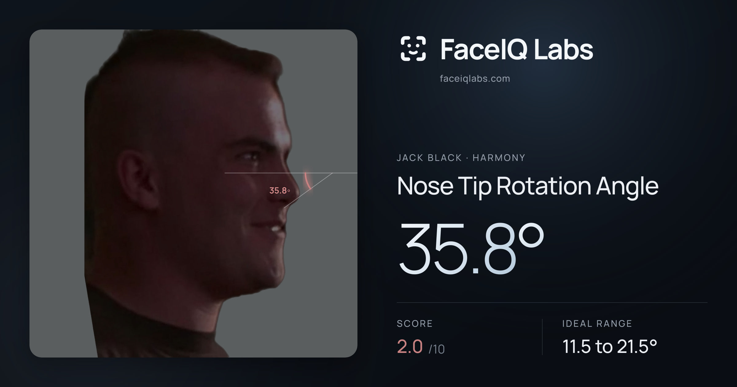 Jack Black Nose Tip Rotation Angle: 35.8°, drawn on the photo