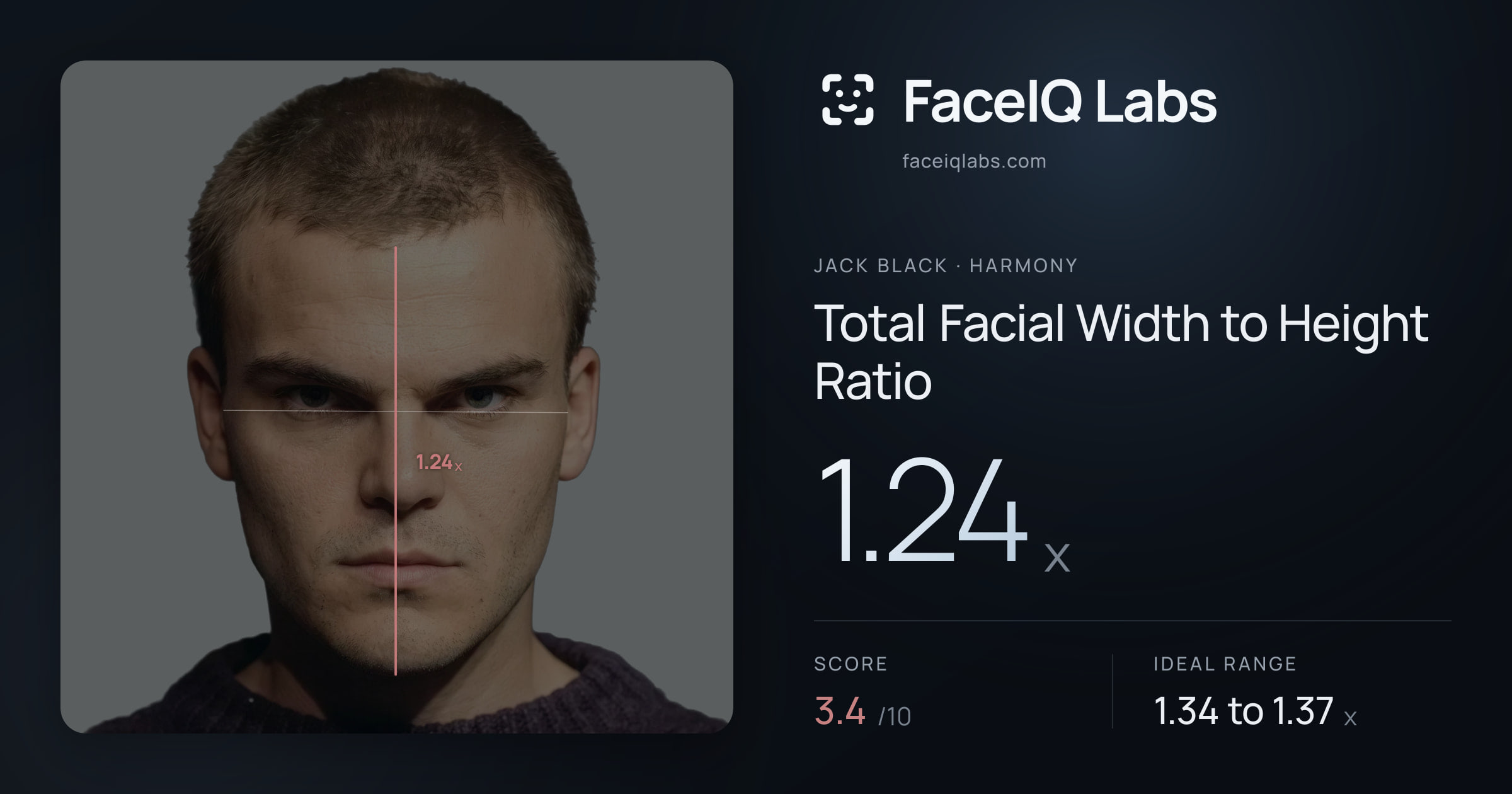 Jack Black Total Facial Width to Height Ratio: 1.24x, drawn on the photo