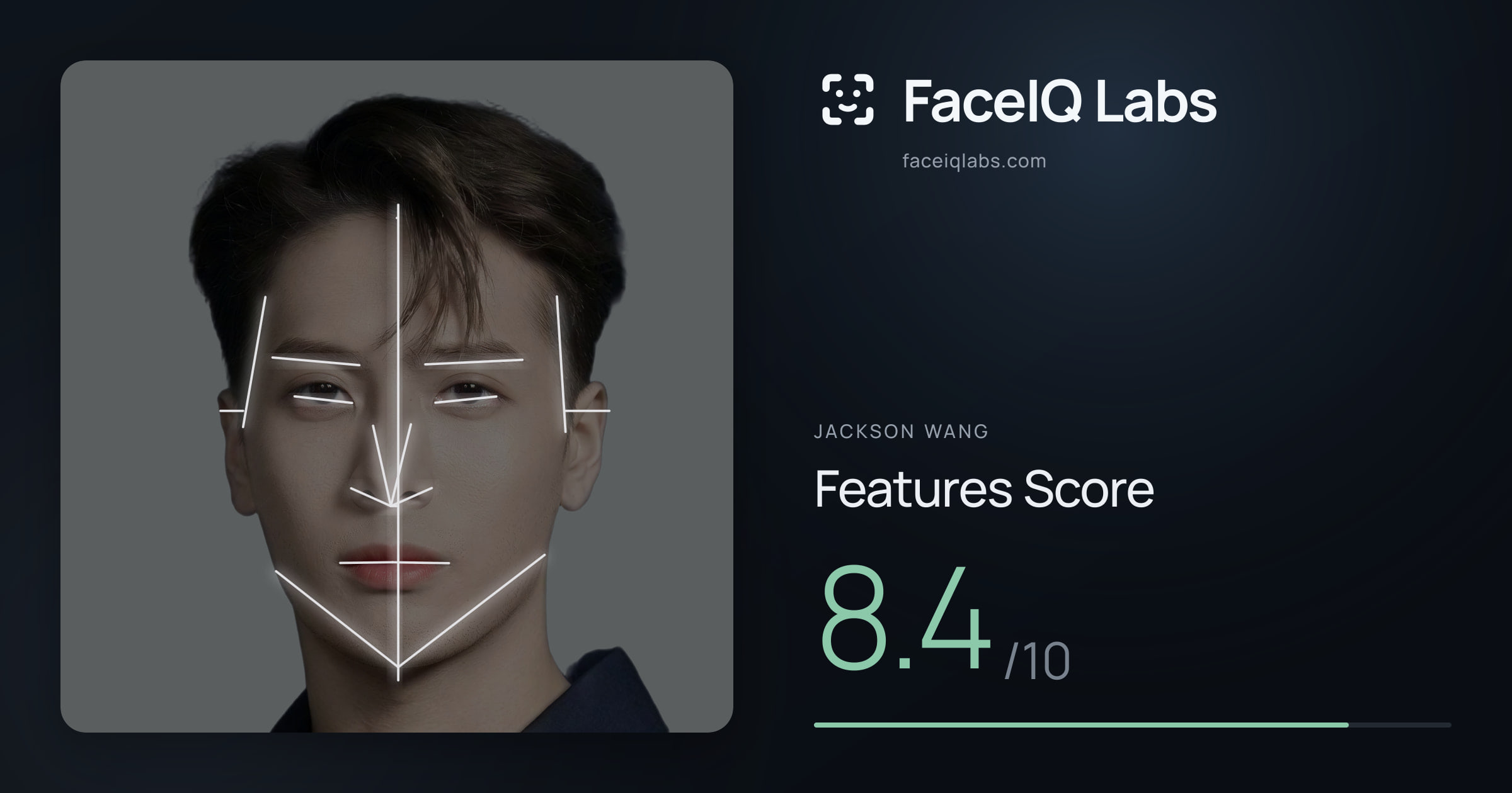 Jackson Wang Features: 8.4/10, with each assessment drawn on the photo