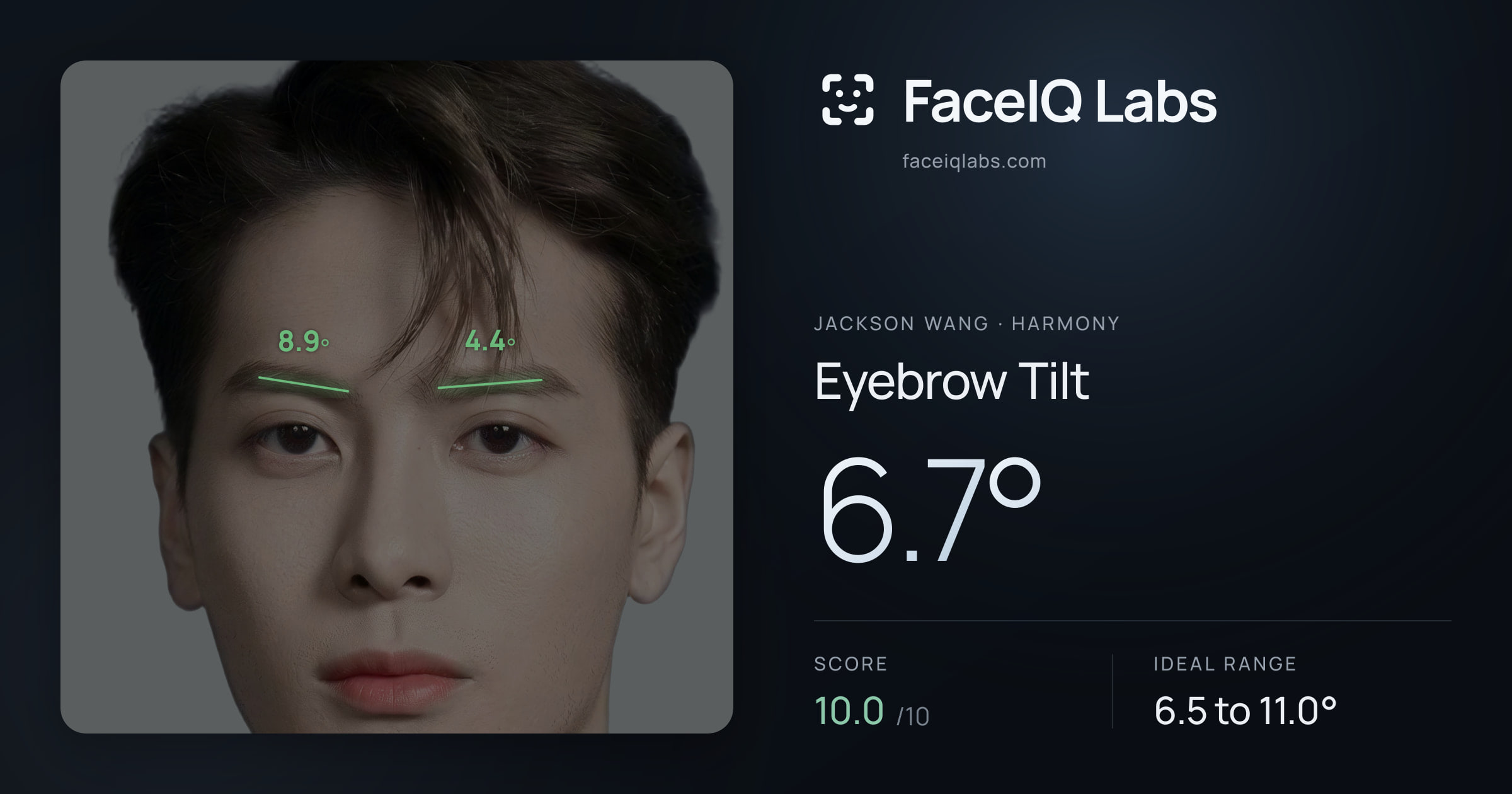 Jackson Wang Eyebrow Tilt: 6.7°, drawn on the photo