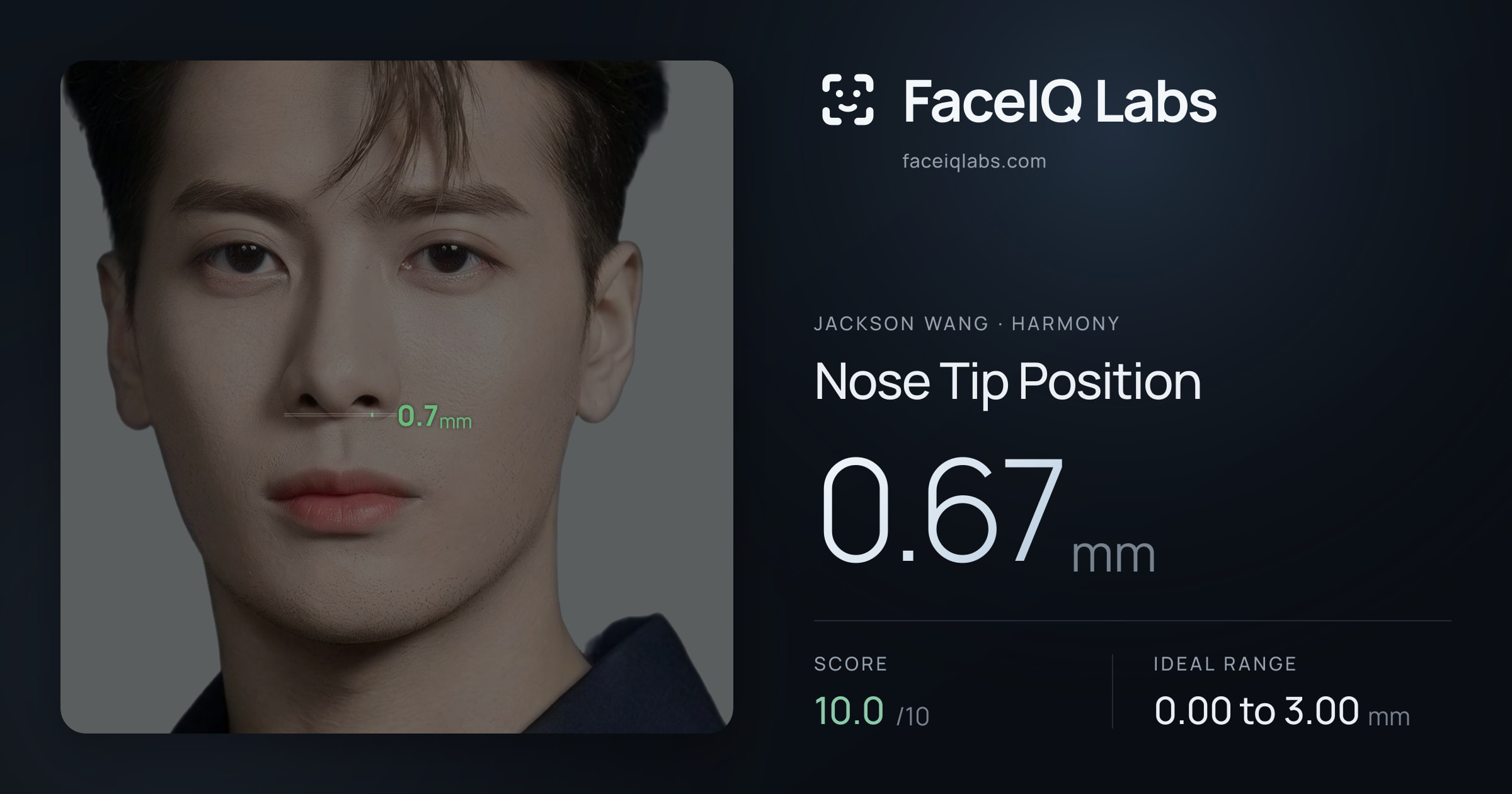 Jackson Wang Nose Tip Position: 0.67mm, drawn on the photo