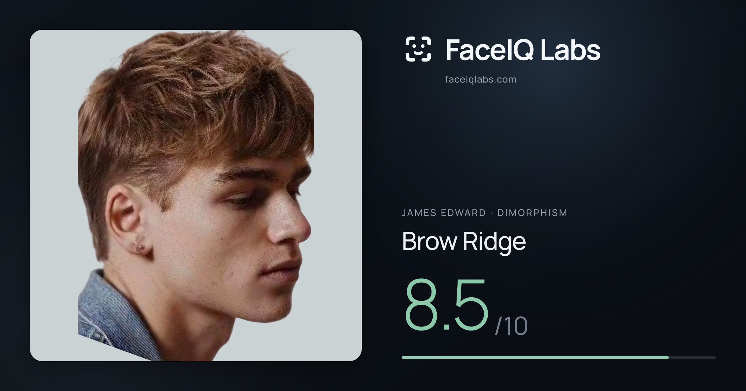 James Edward Brow Ridge: 8.5/10, drawn on the photo