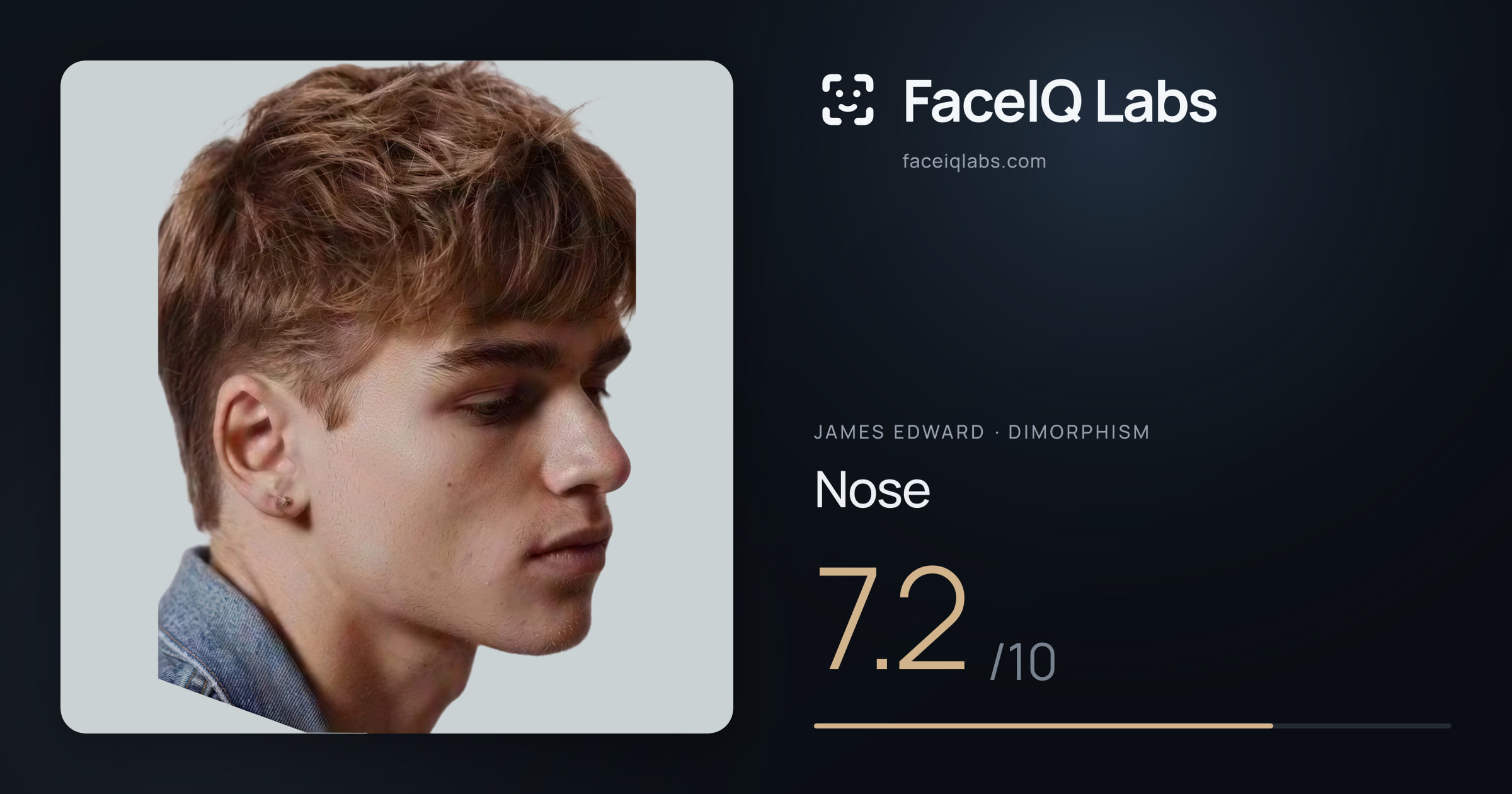 James Edward Nose: 7.2/10, drawn on the photo