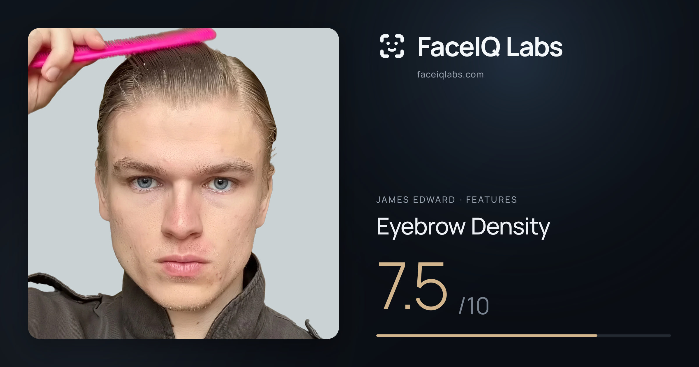 James Edward Eyebrow Density: 7.5/10, drawn on the photo