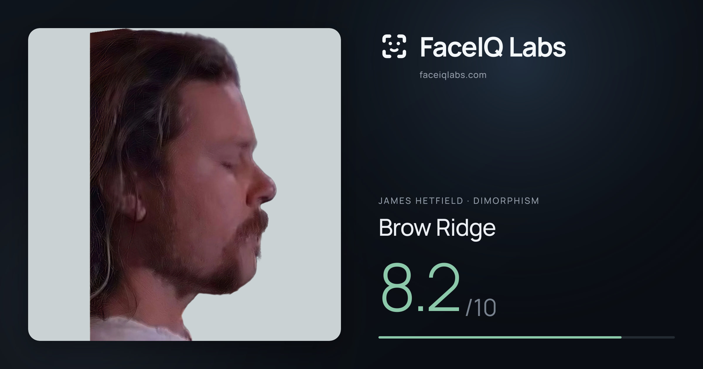 James Hetfield Brow Ridge: 8.2/10, drawn on the photo