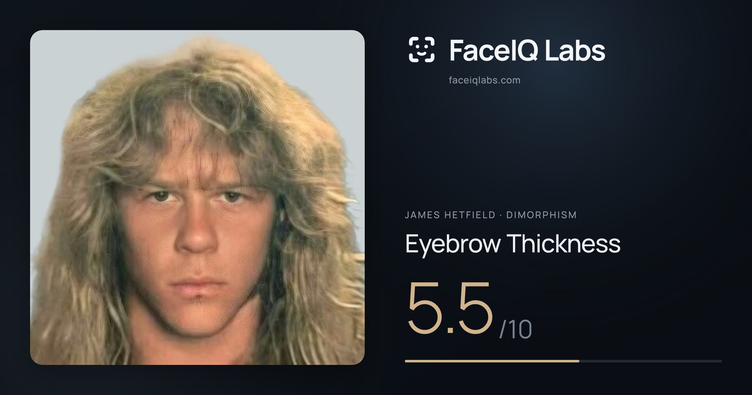 James Hetfield Eyebrow Thickness: 5.5/10, drawn on the photo