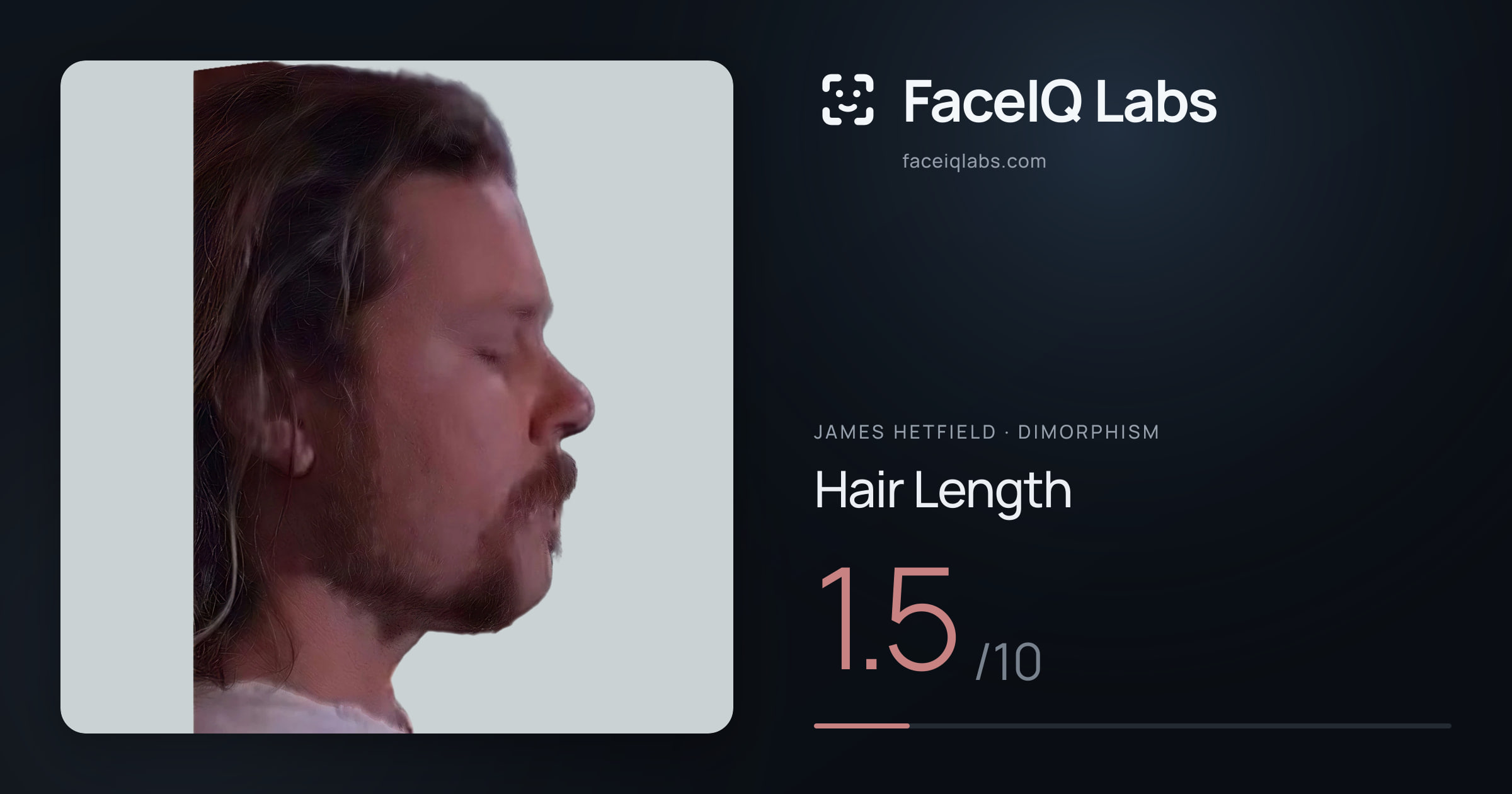 James Hetfield Hair Length: 1.5/10, drawn on the photo