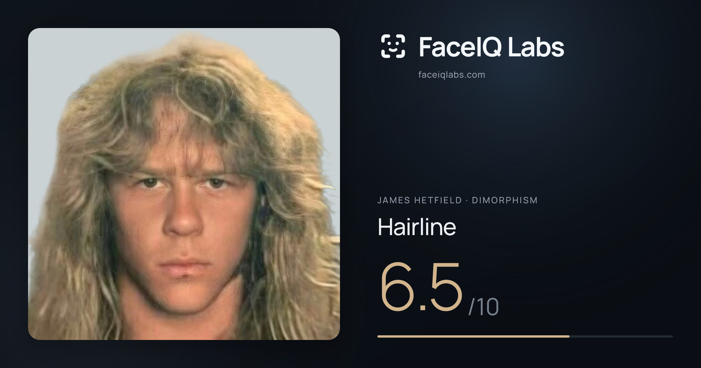 James Hetfield Hairline: 6.5/10, drawn on the photo