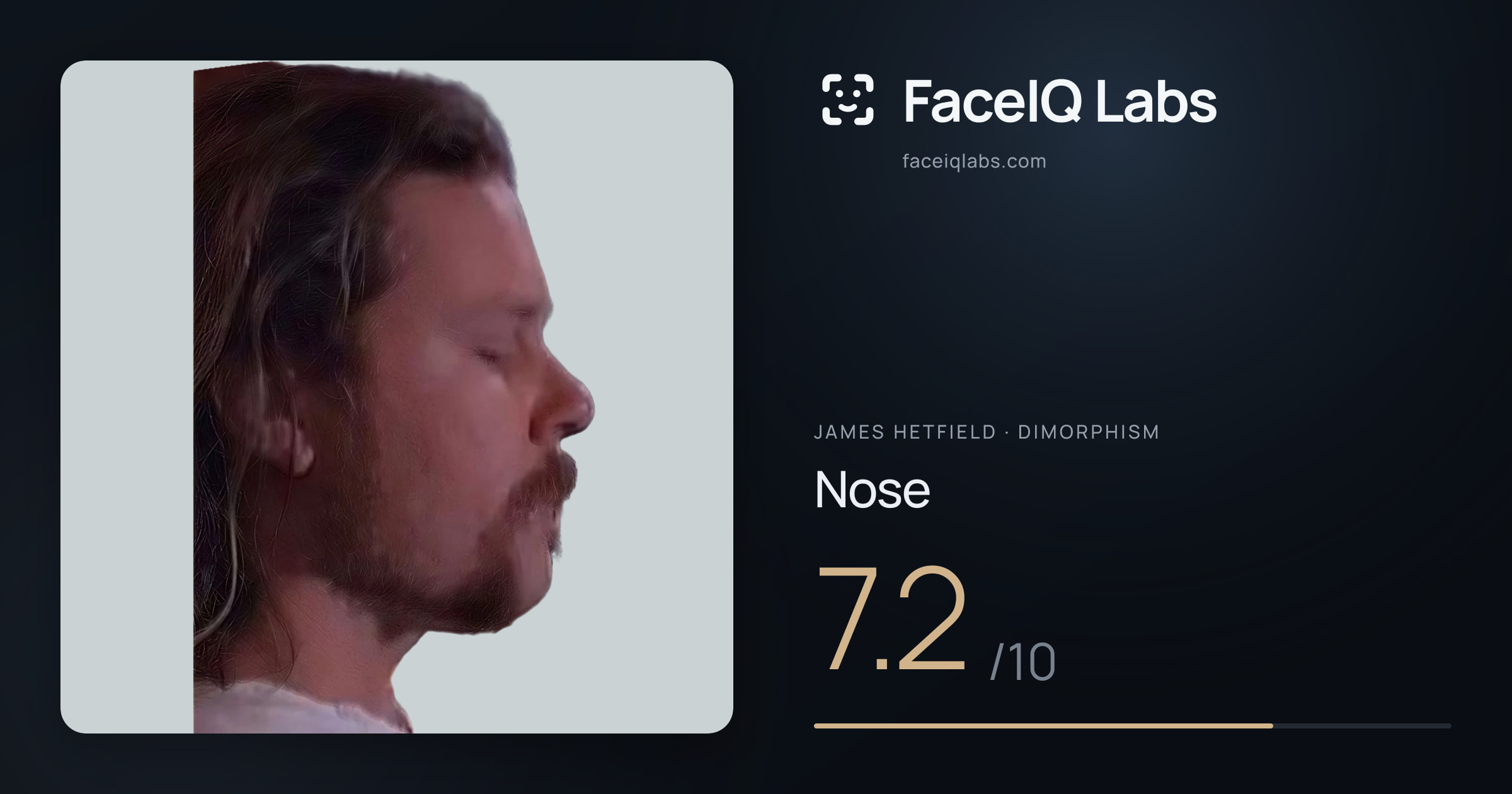 James Hetfield Nose: 7.2/10, drawn on the photo