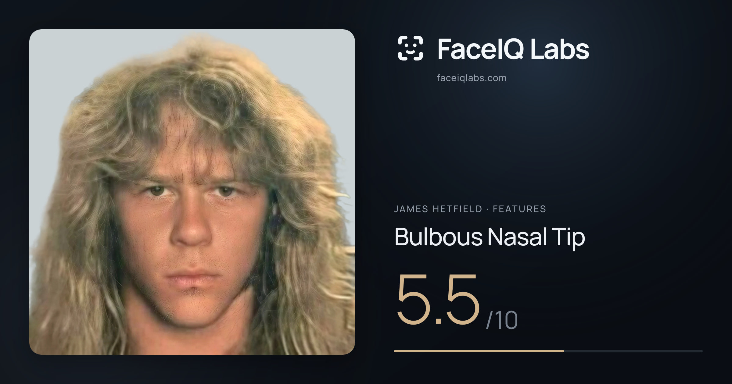 James Hetfield Bulbous Nasal Tip: 5.5/10, drawn on the photo