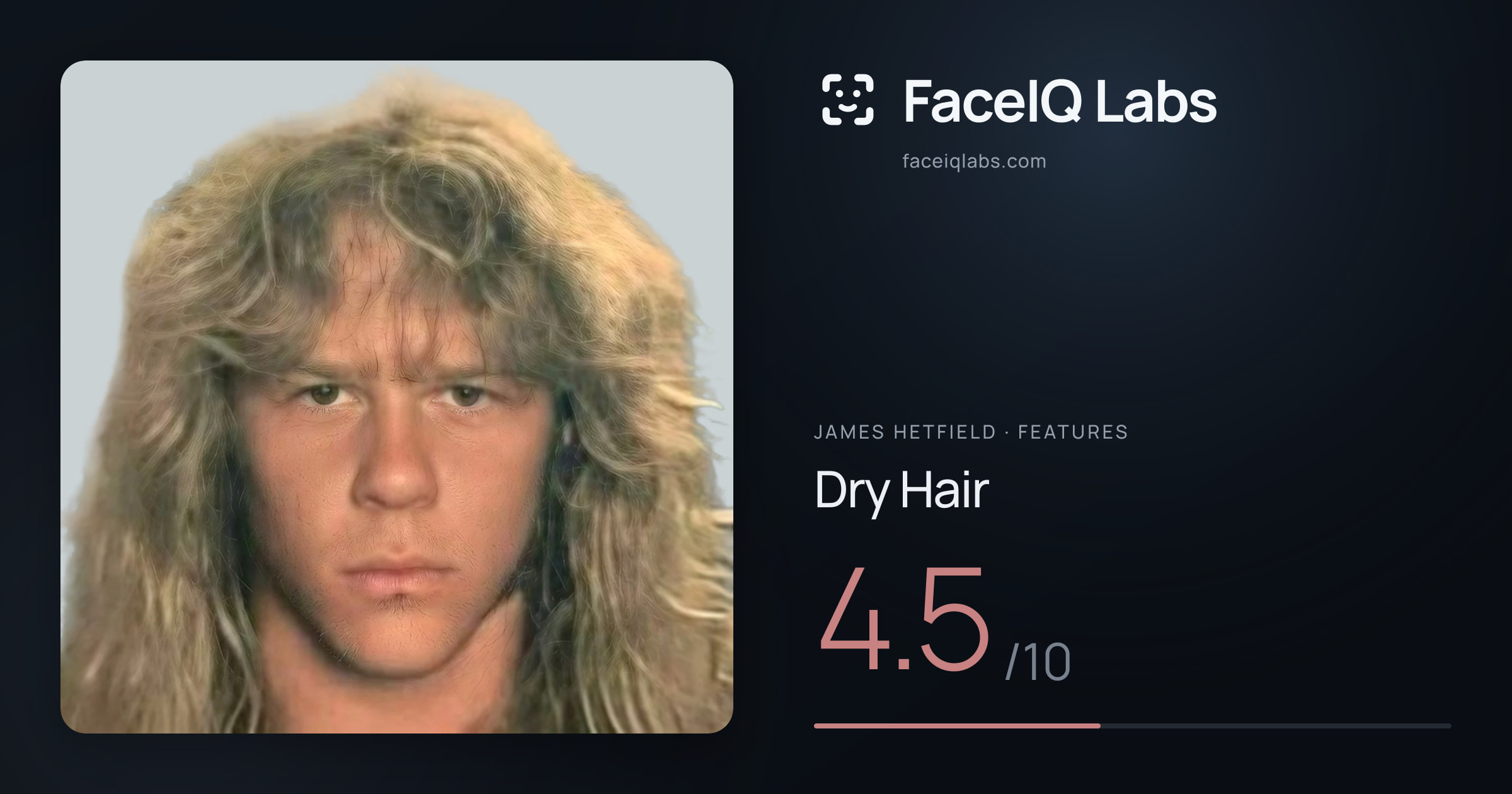 James Hetfield Dry Hair: 4.5/10, drawn on the photo