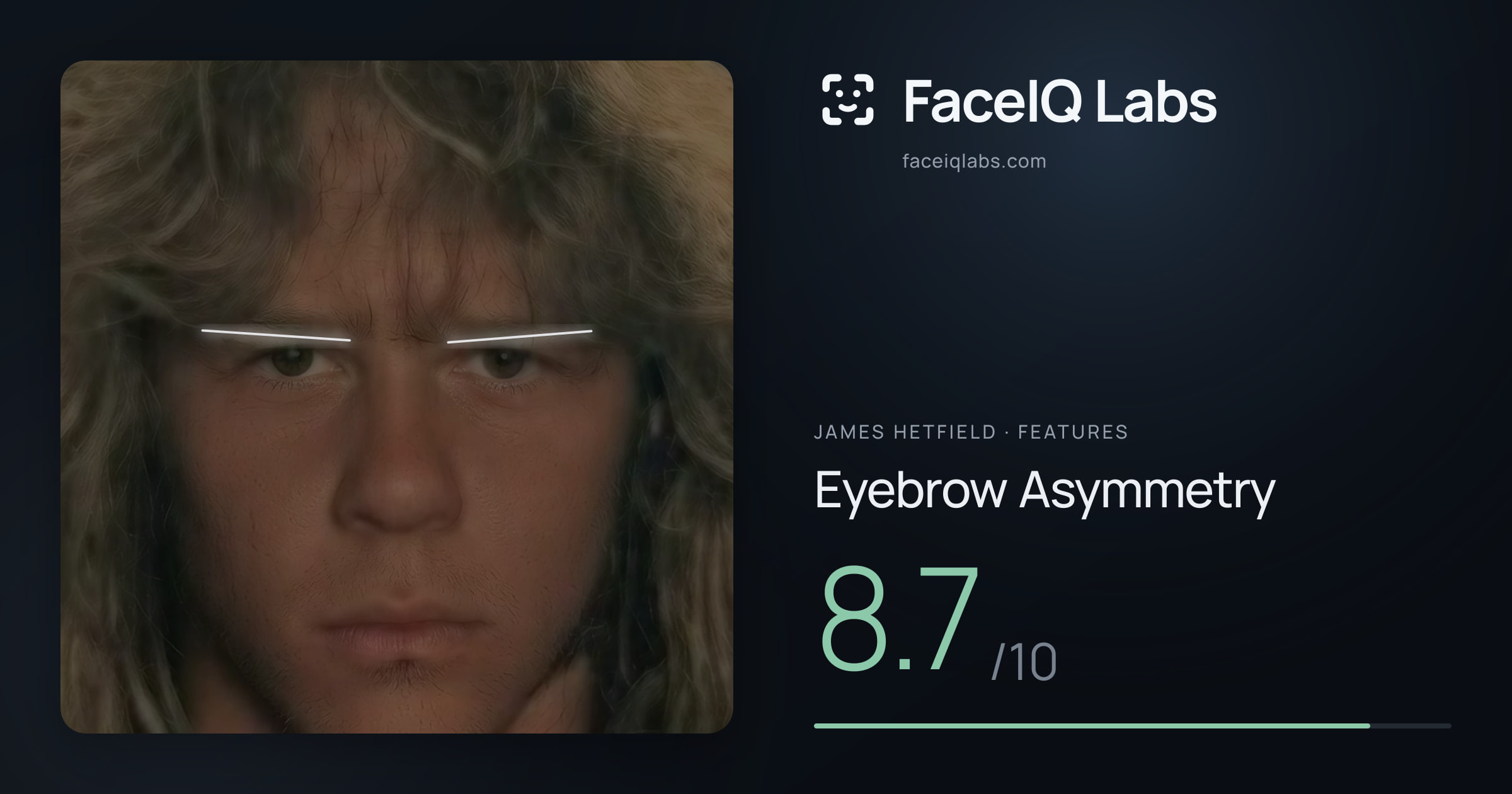 James Hetfield Eyebrow Asymmetry: 8.7/10, drawn on the photo