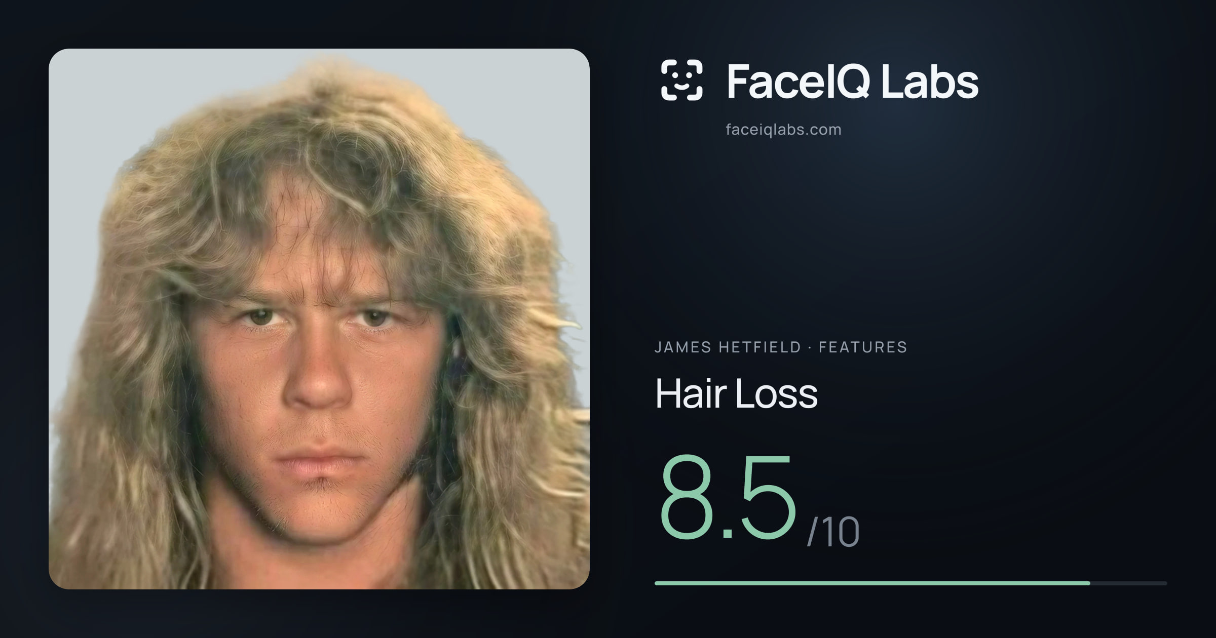 James Hetfield Hair Loss: 8.5/10, drawn on the photo
