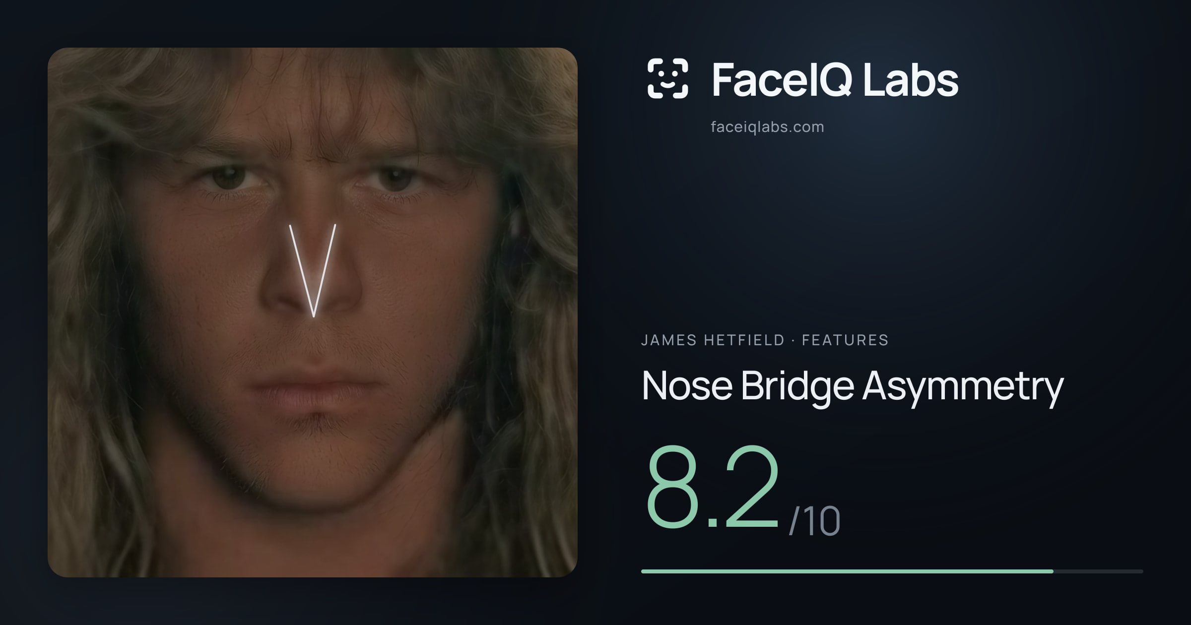 James Hetfield Nose Bridge Asymmetry: 8.2/10, drawn on the photo