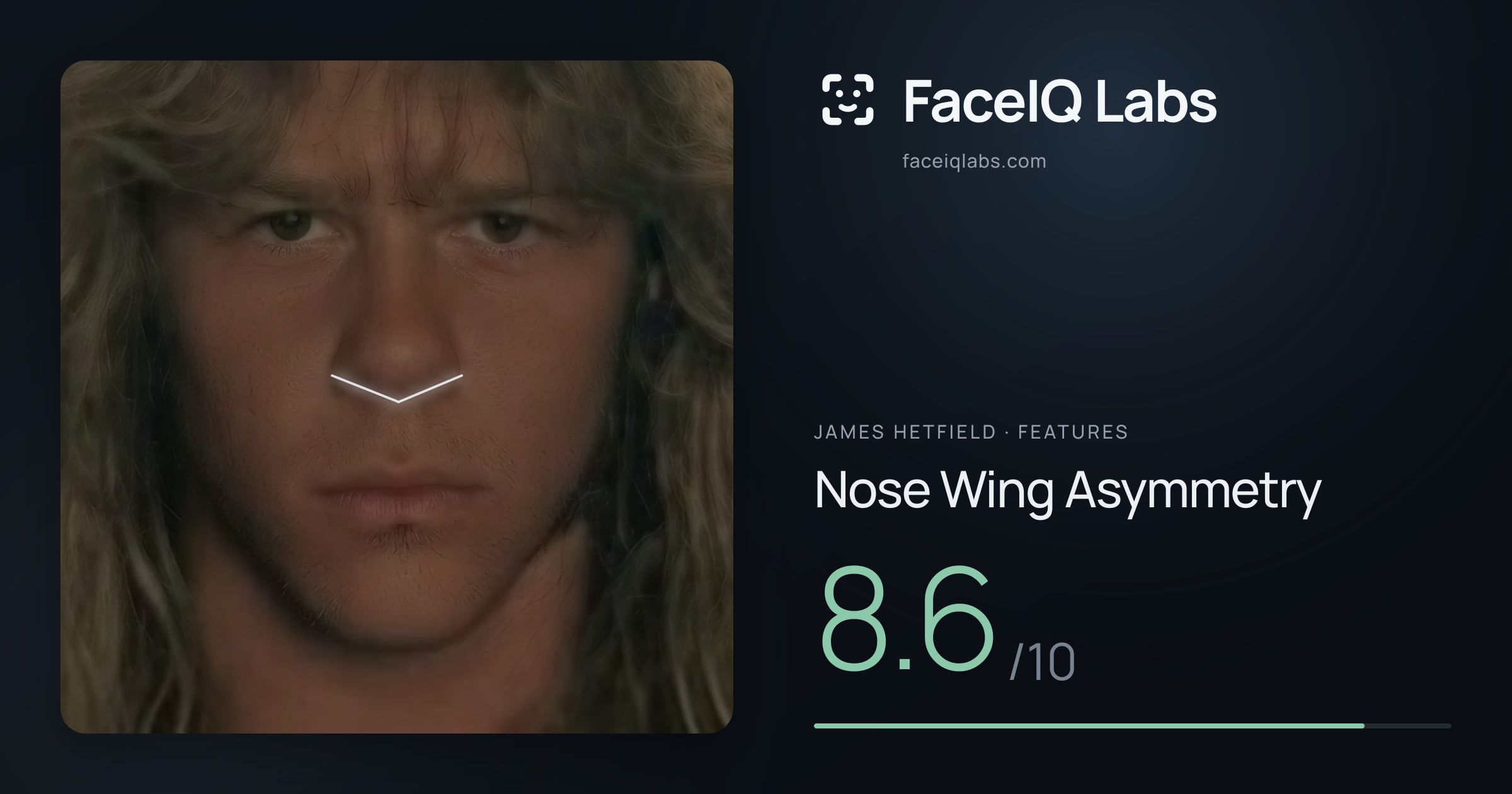 James Hetfield Nose Wing Asymmetry: 8.6/10, drawn on the photo