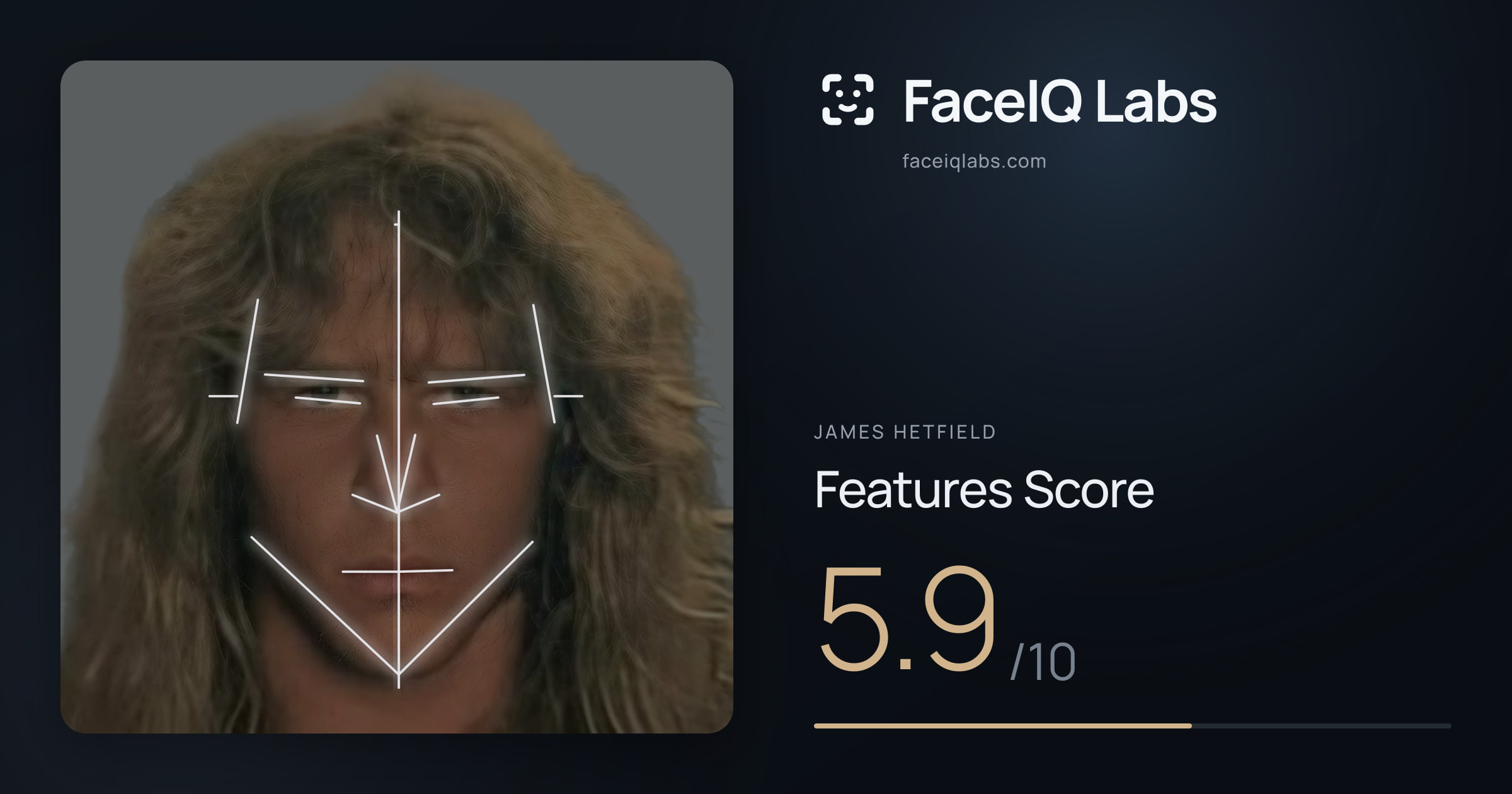 James Hetfield Features: 5.9/10, with each assessment drawn on the photo