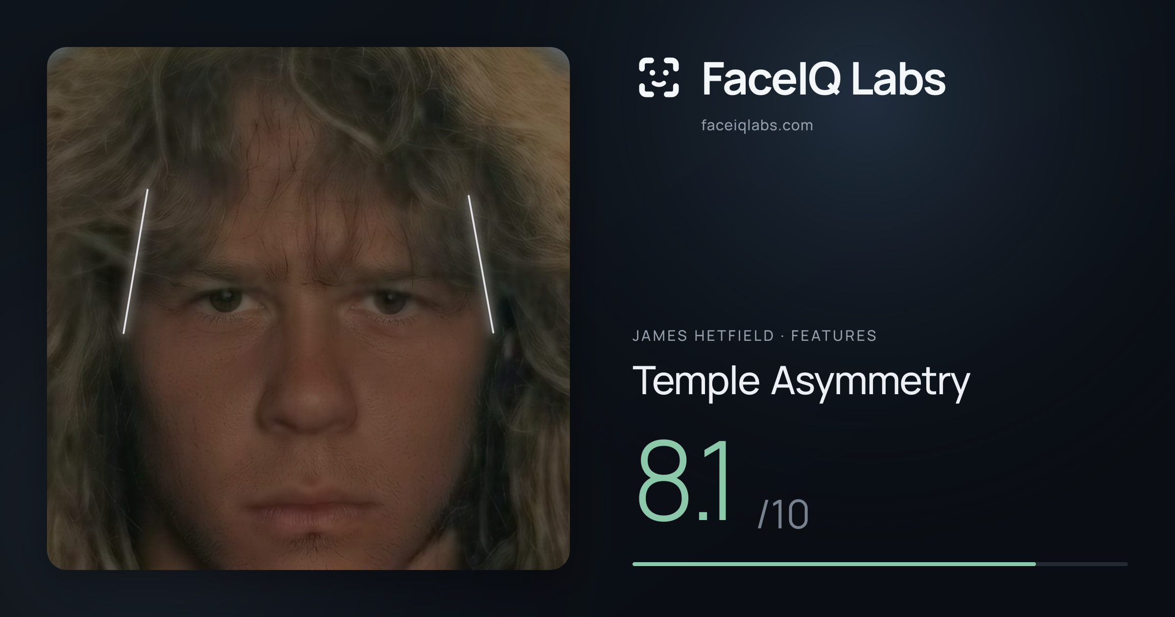 James Hetfield Temple Asymmetry: 8.1/10, drawn on the photo