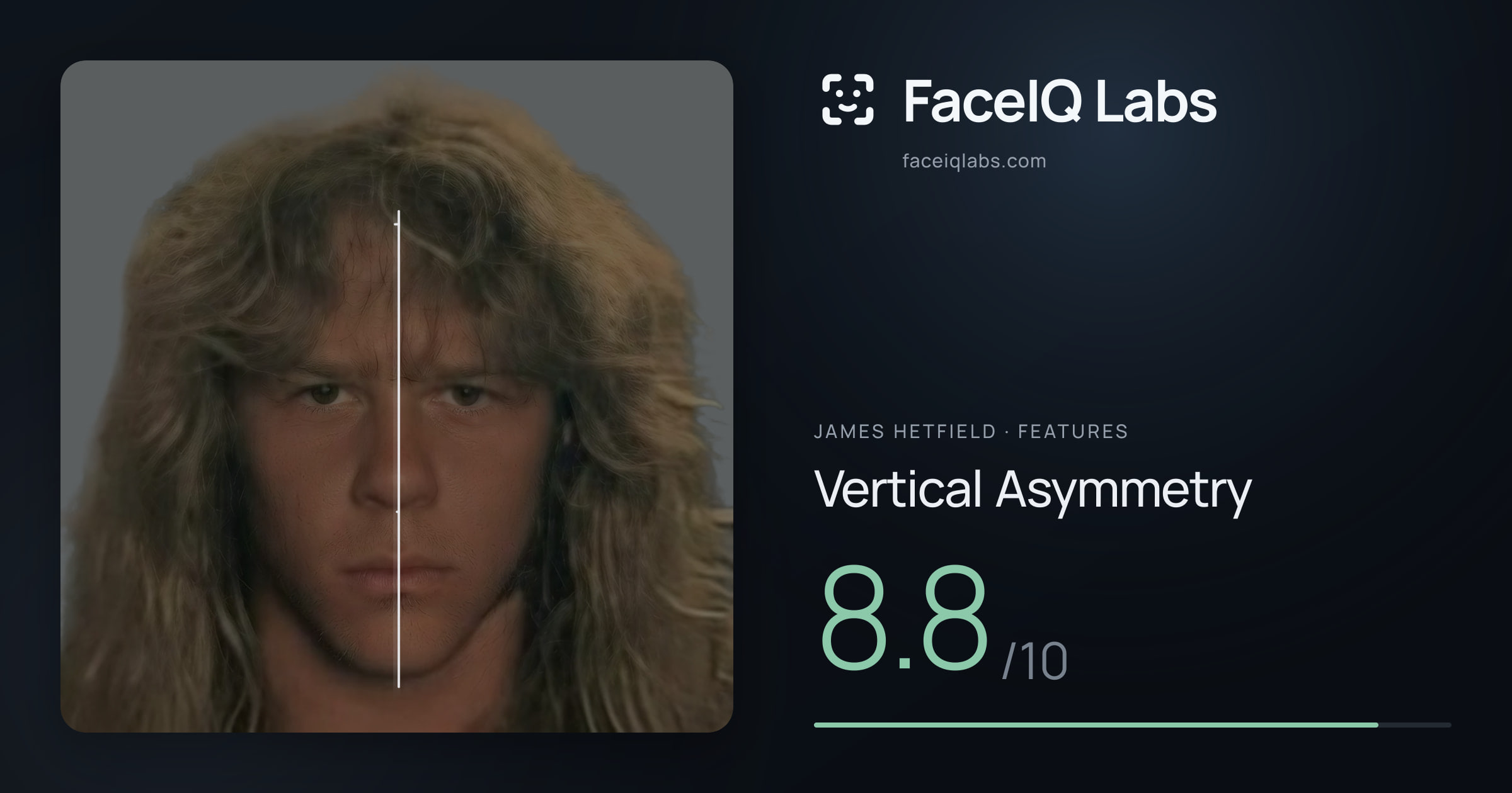 James Hetfield Vertical Asymmetry: 8.8/10, drawn on the photo