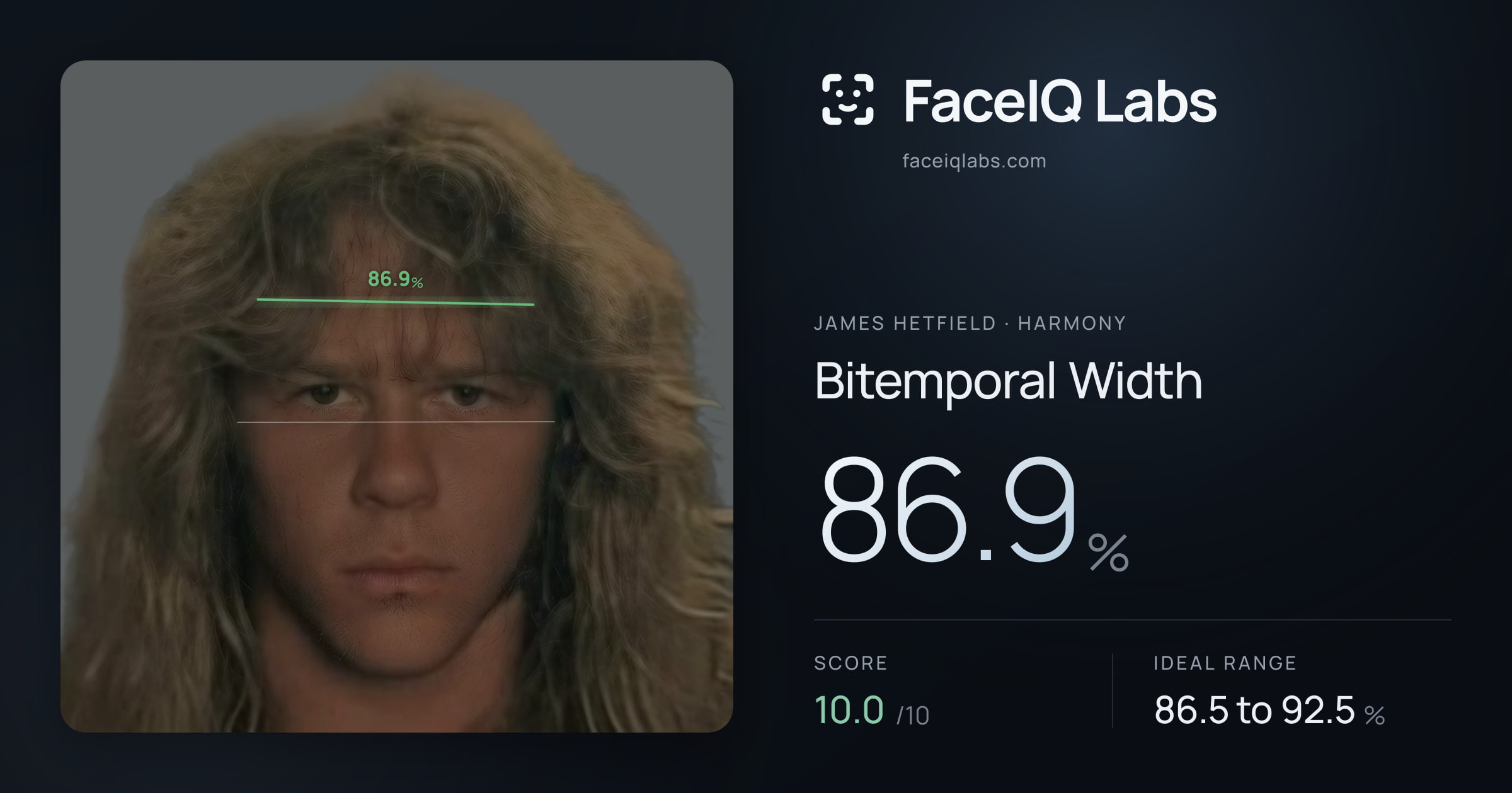 James Hetfield Bitemporal Width: 86.9%, drawn on the photo
