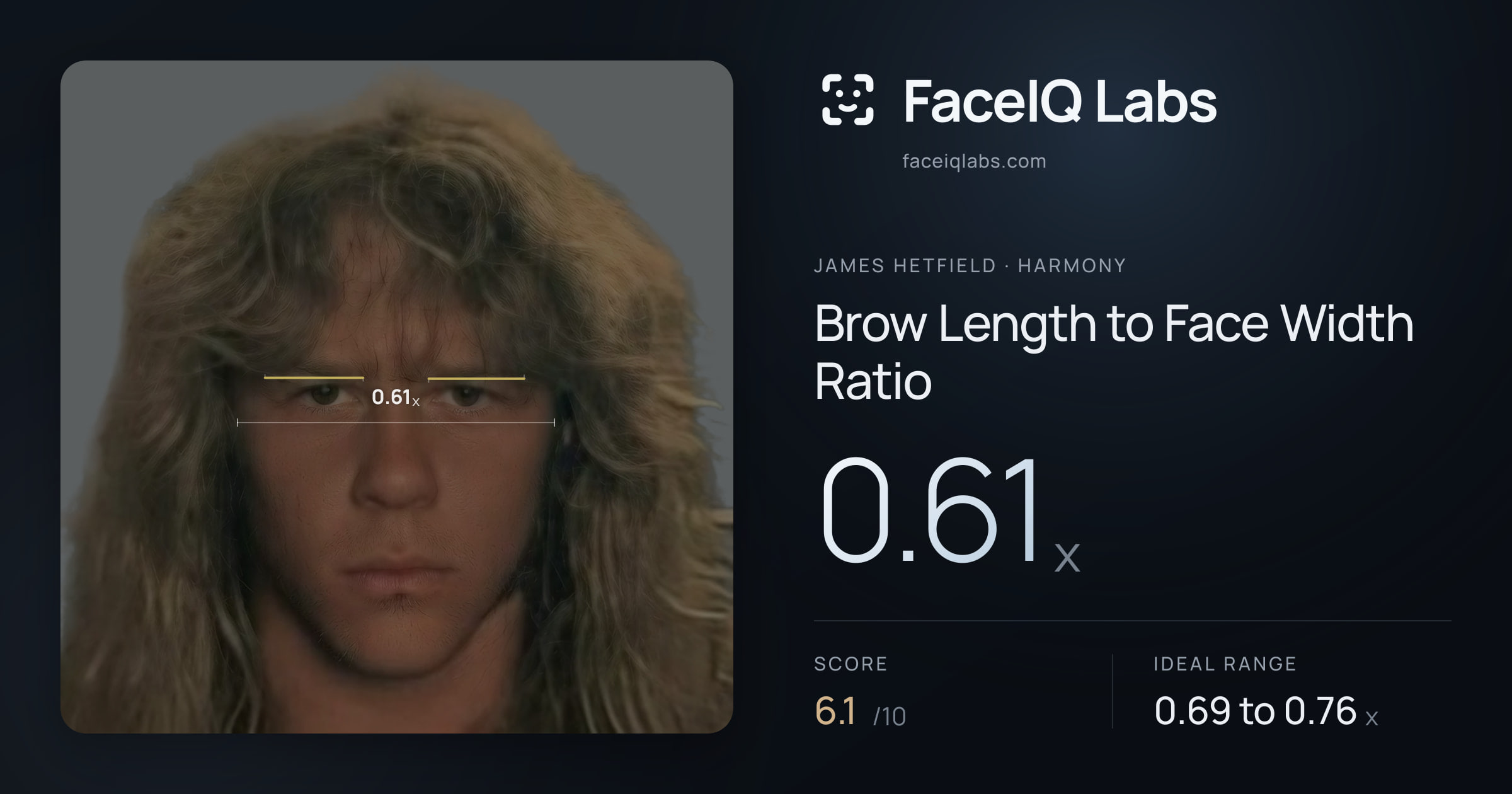 James Hetfield Brow Length to Face Width Ratio: 0.61x, drawn on the photo