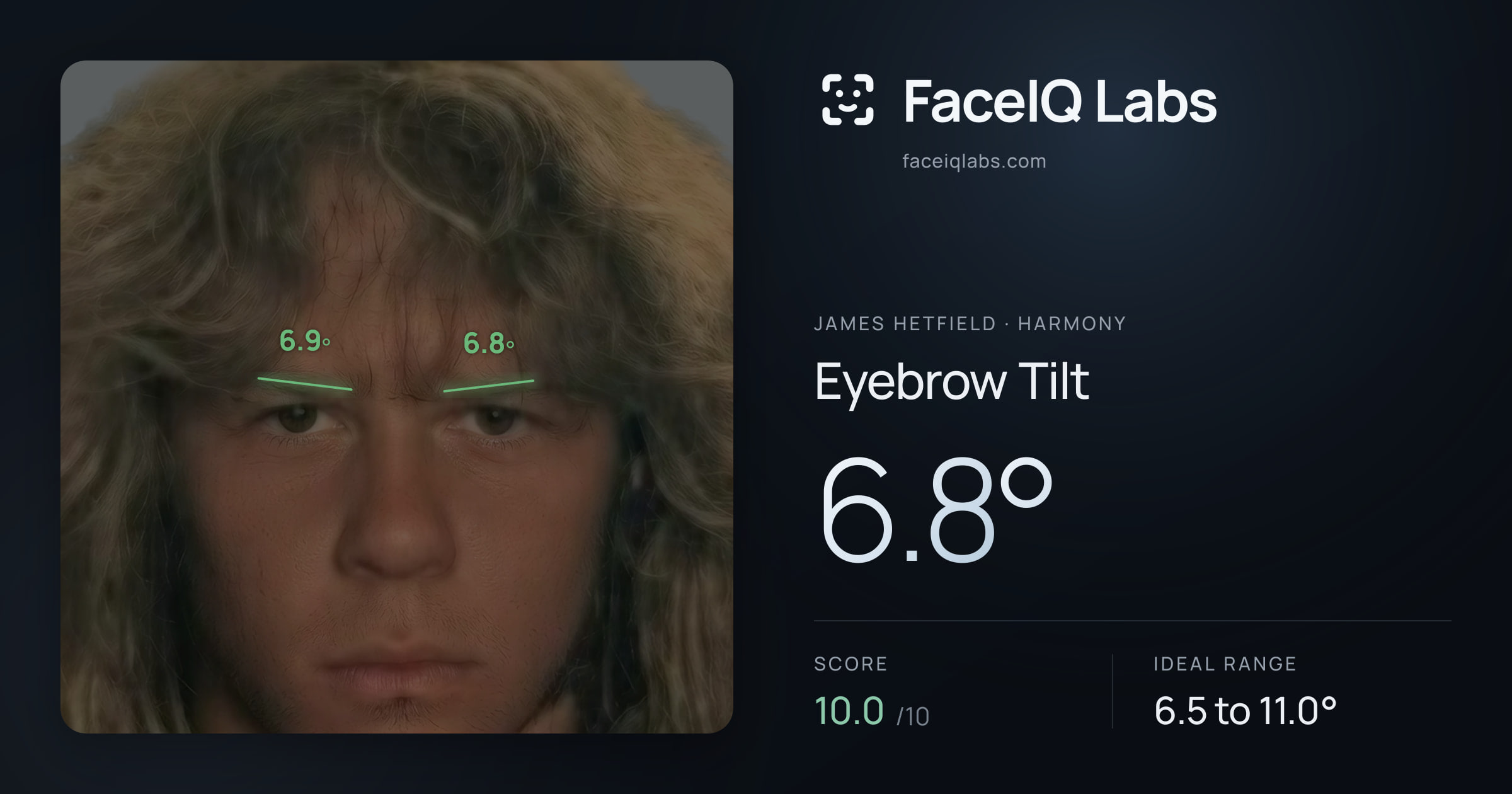 James Hetfield Eyebrow Tilt: 6.8°, drawn on the photo