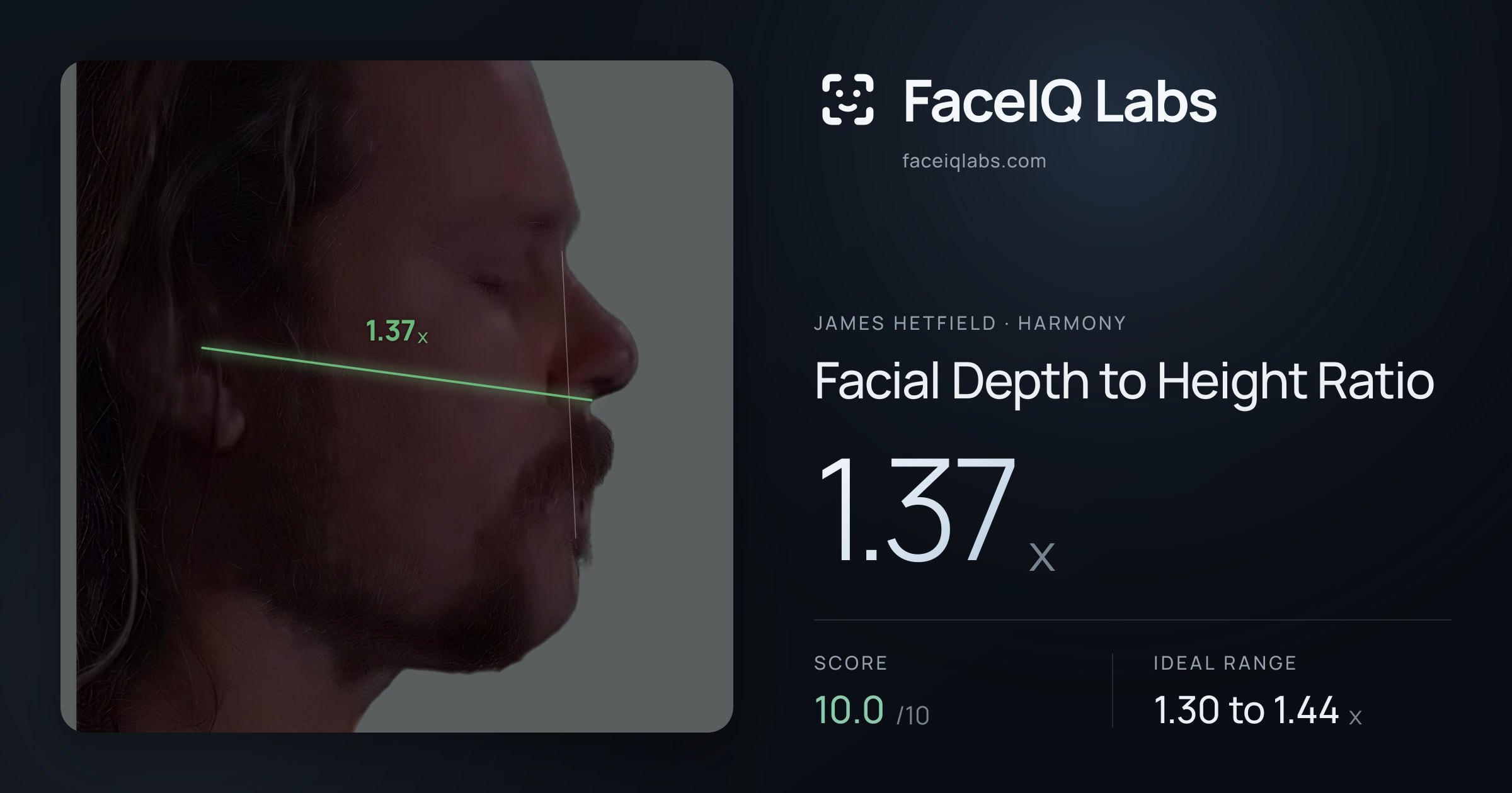 James Hetfield Facial Depth to Height Ratio: 1.37x, drawn on the photo