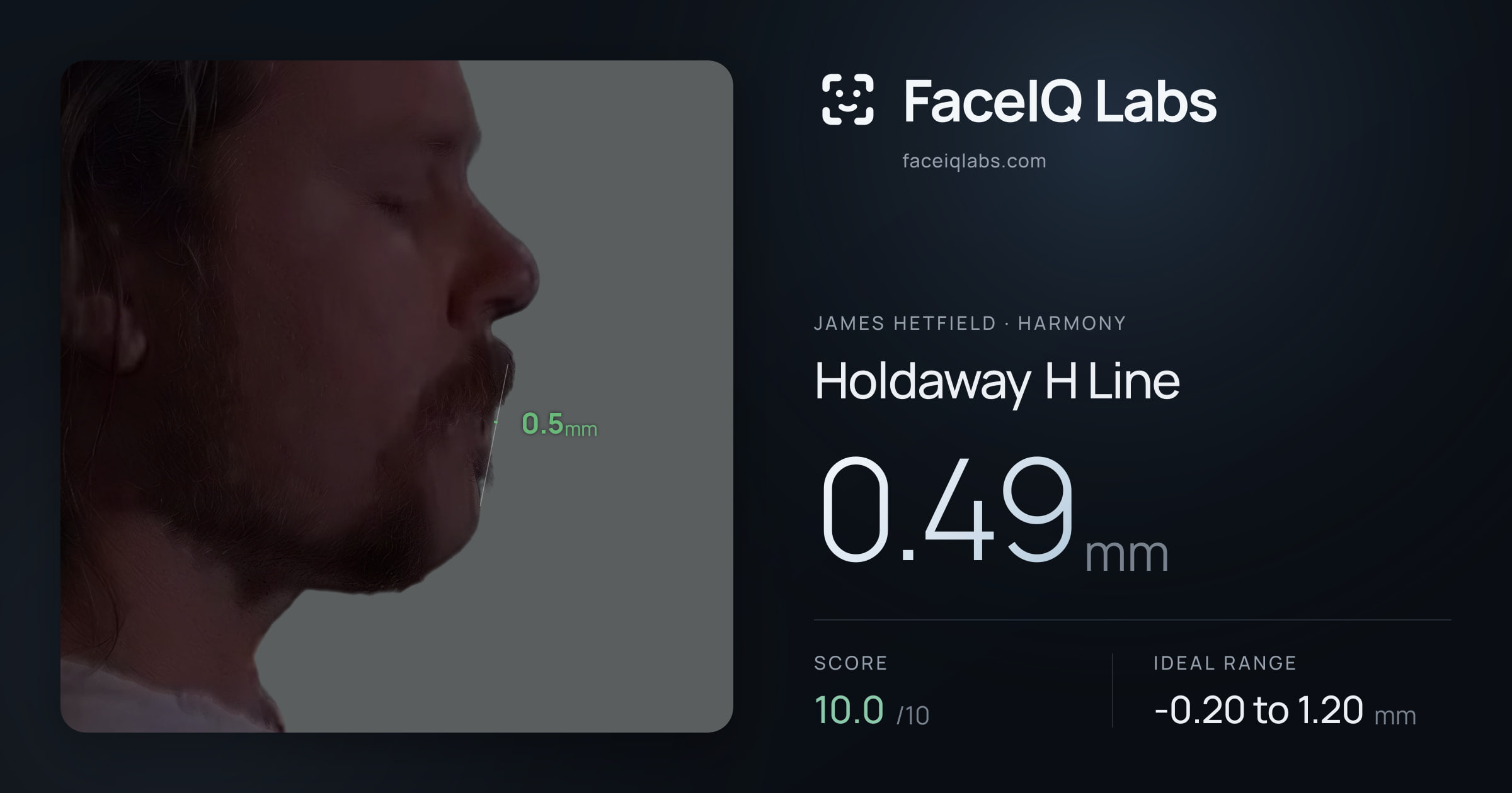 James Hetfield Holdaway H Line: 0.49mm, drawn on the photo
