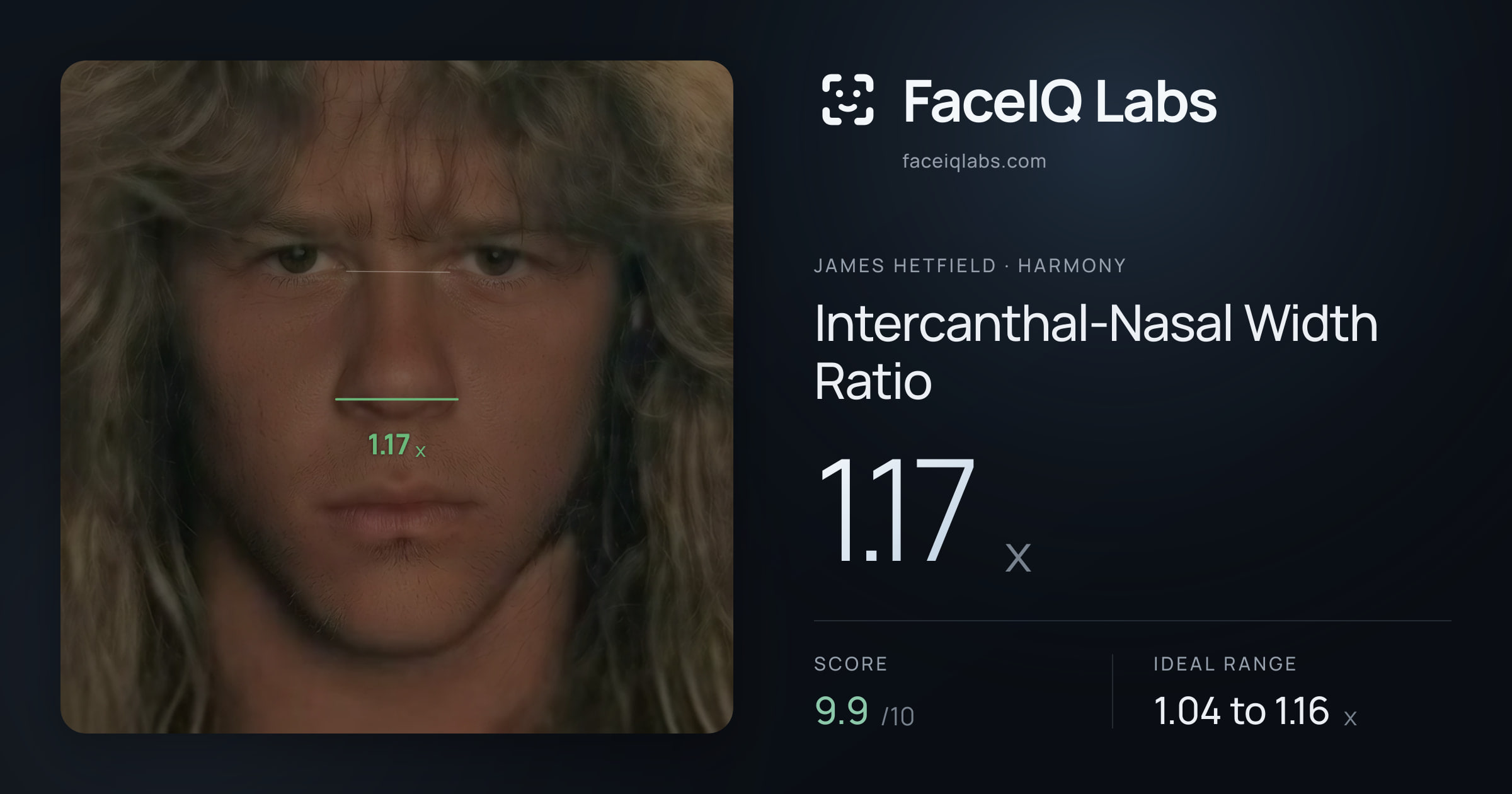 James Hetfield Intercanthal-Nasal Width Ratio: 1.17x, drawn on the photo