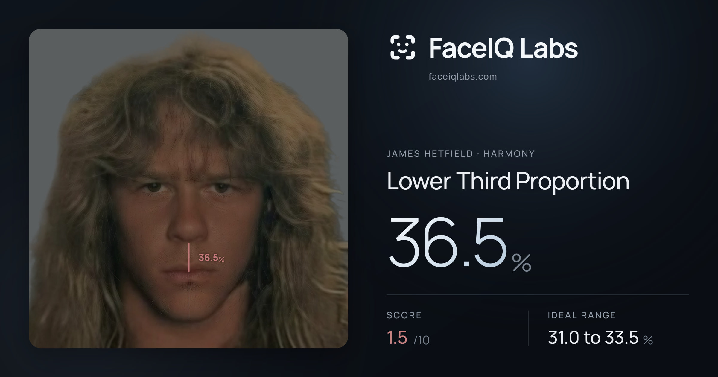 James Hetfield Lower Third Proportion: 36.5%, drawn on the photo