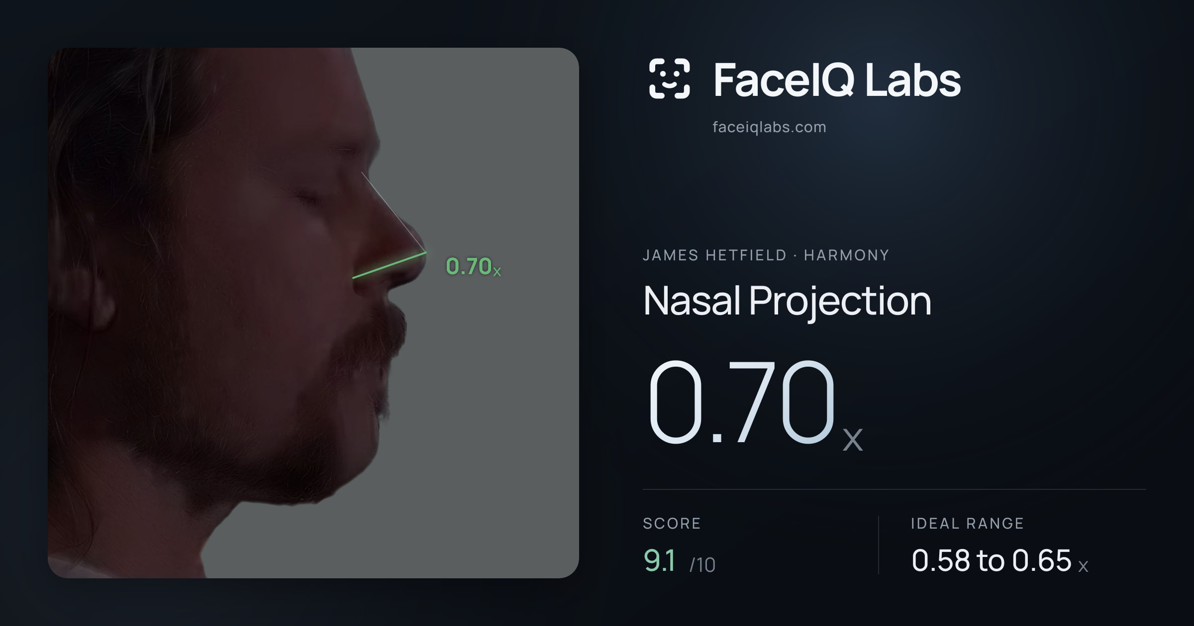 James Hetfield Nasal Projection: 0.70x, drawn on the photo