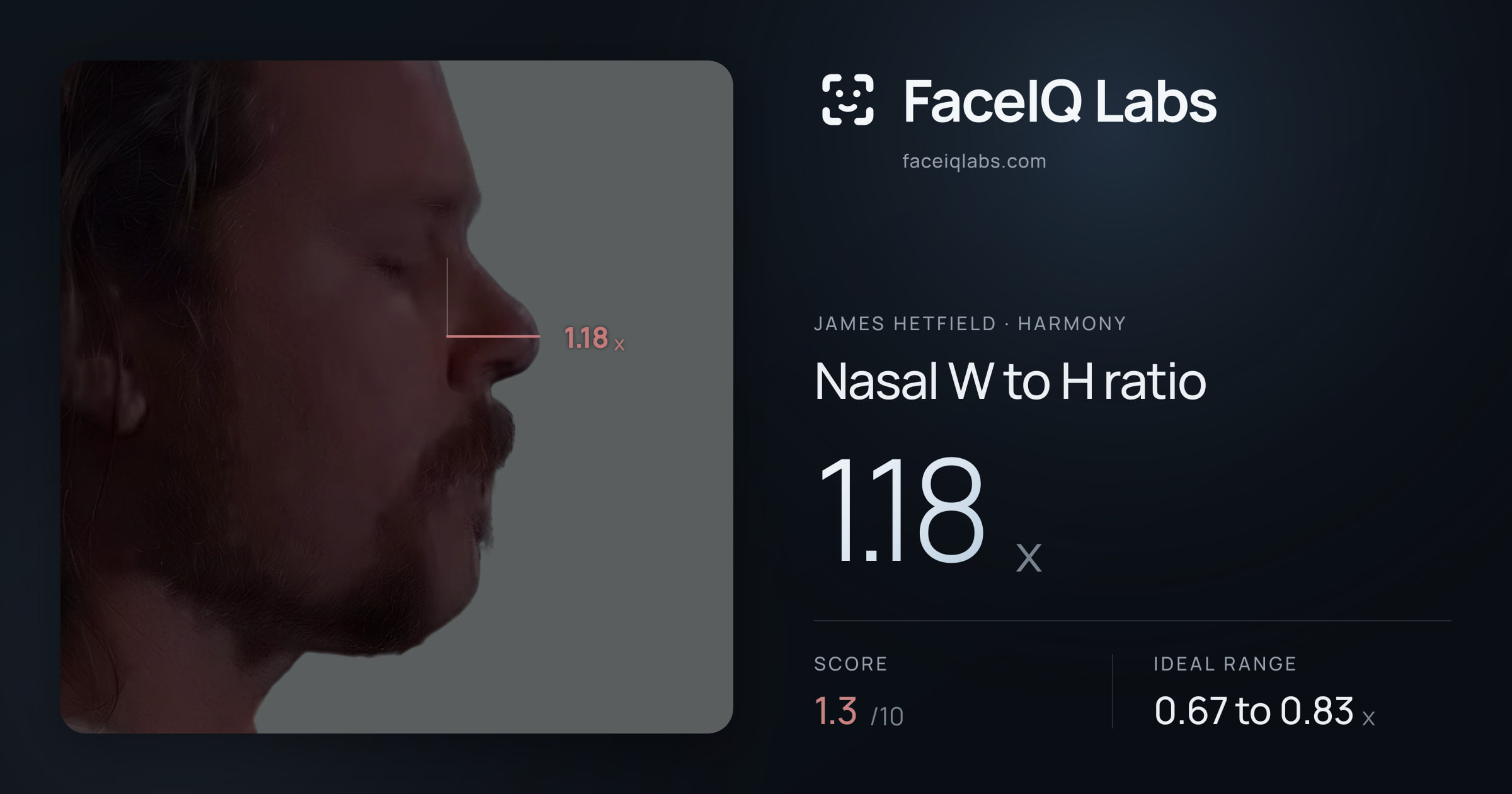 James Hetfield Nasal W to H ratio: 1.18x, drawn on the photo