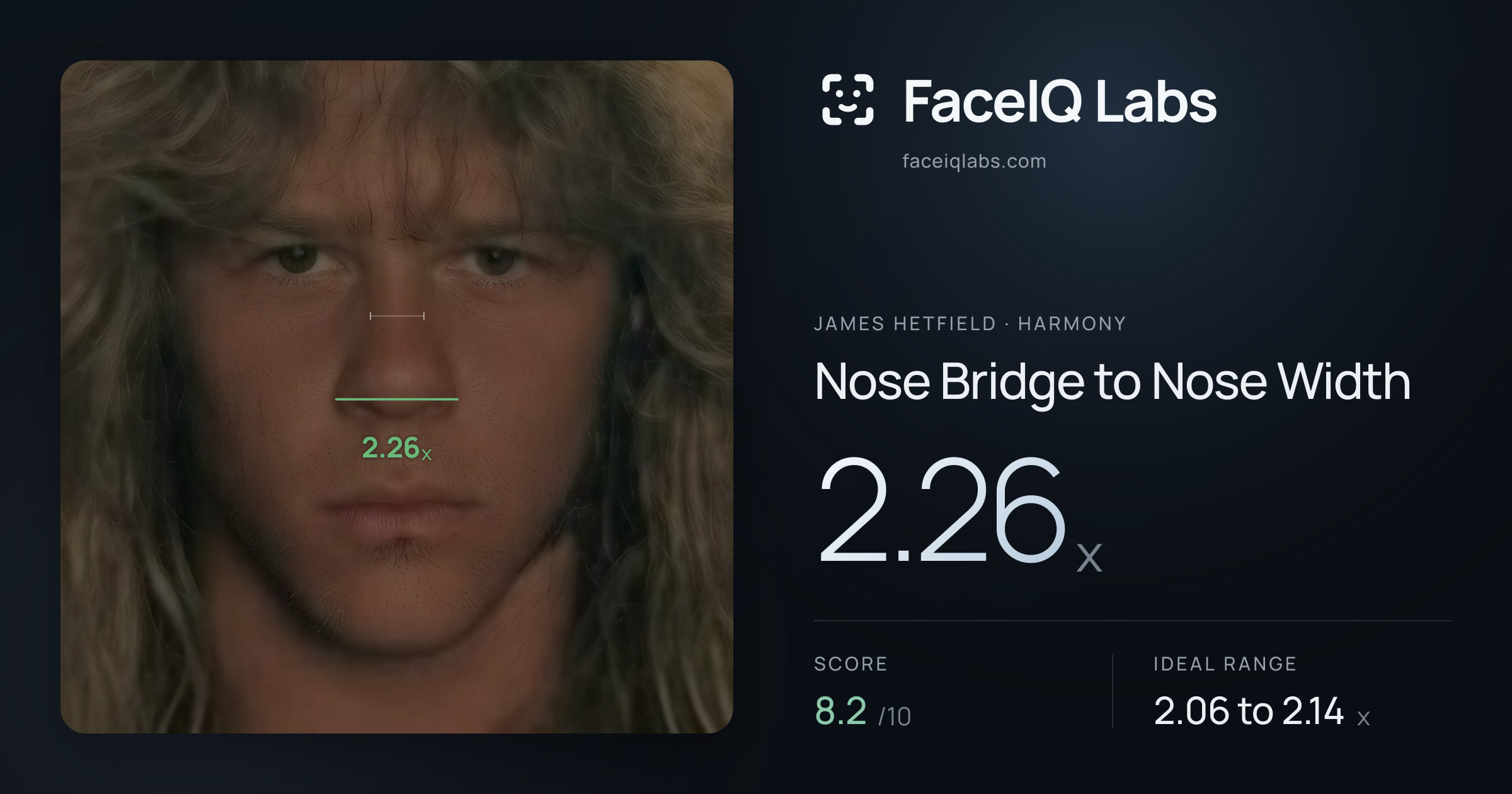 James Hetfield Nose Bridge to Nose Width: 2.26x, drawn on the photo