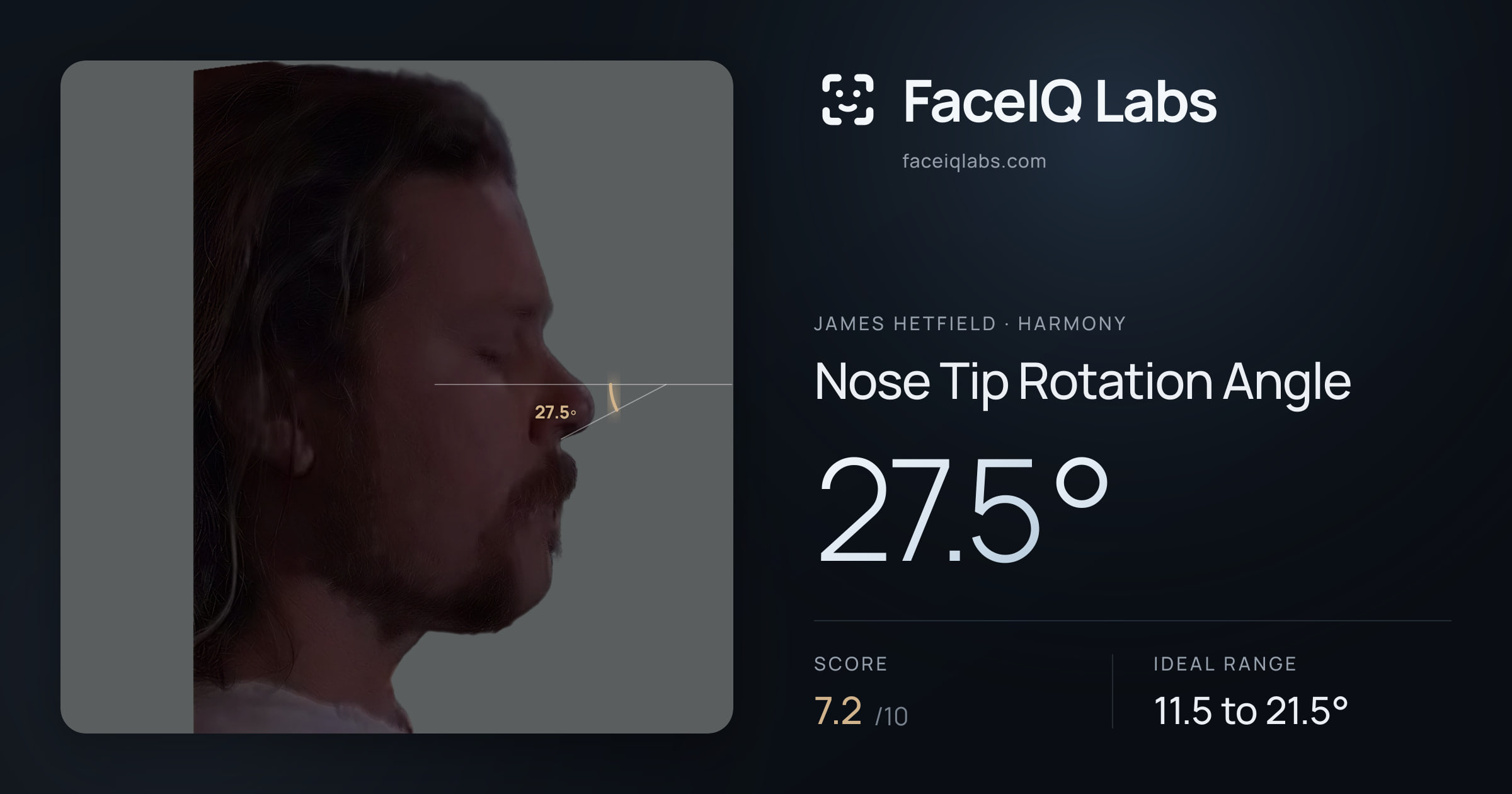 James Hetfield Nose Tip Rotation Angle: 27.5°, drawn on the photo