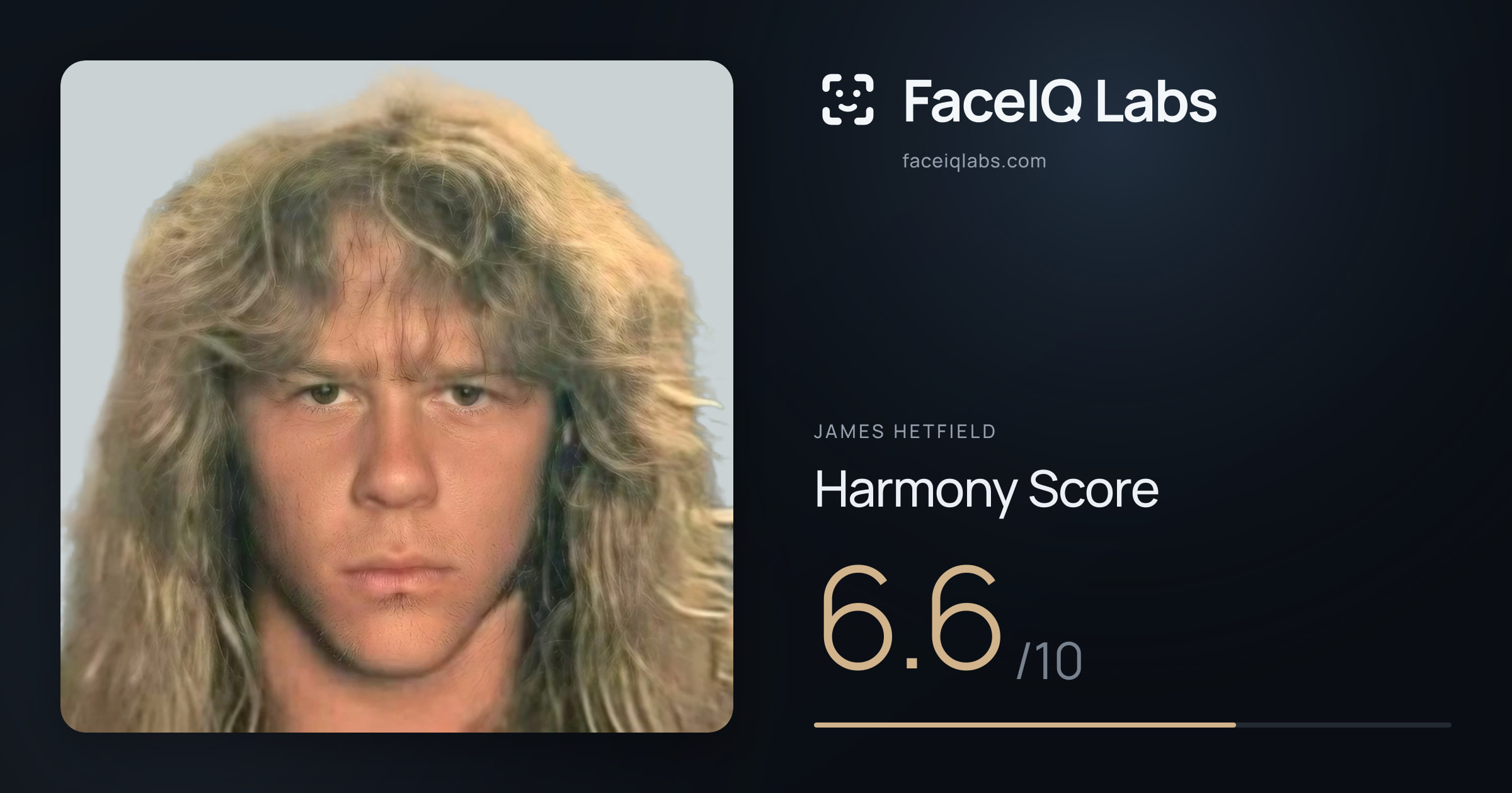 James Hetfield Harmony: 6.6/10, with each ratio's score