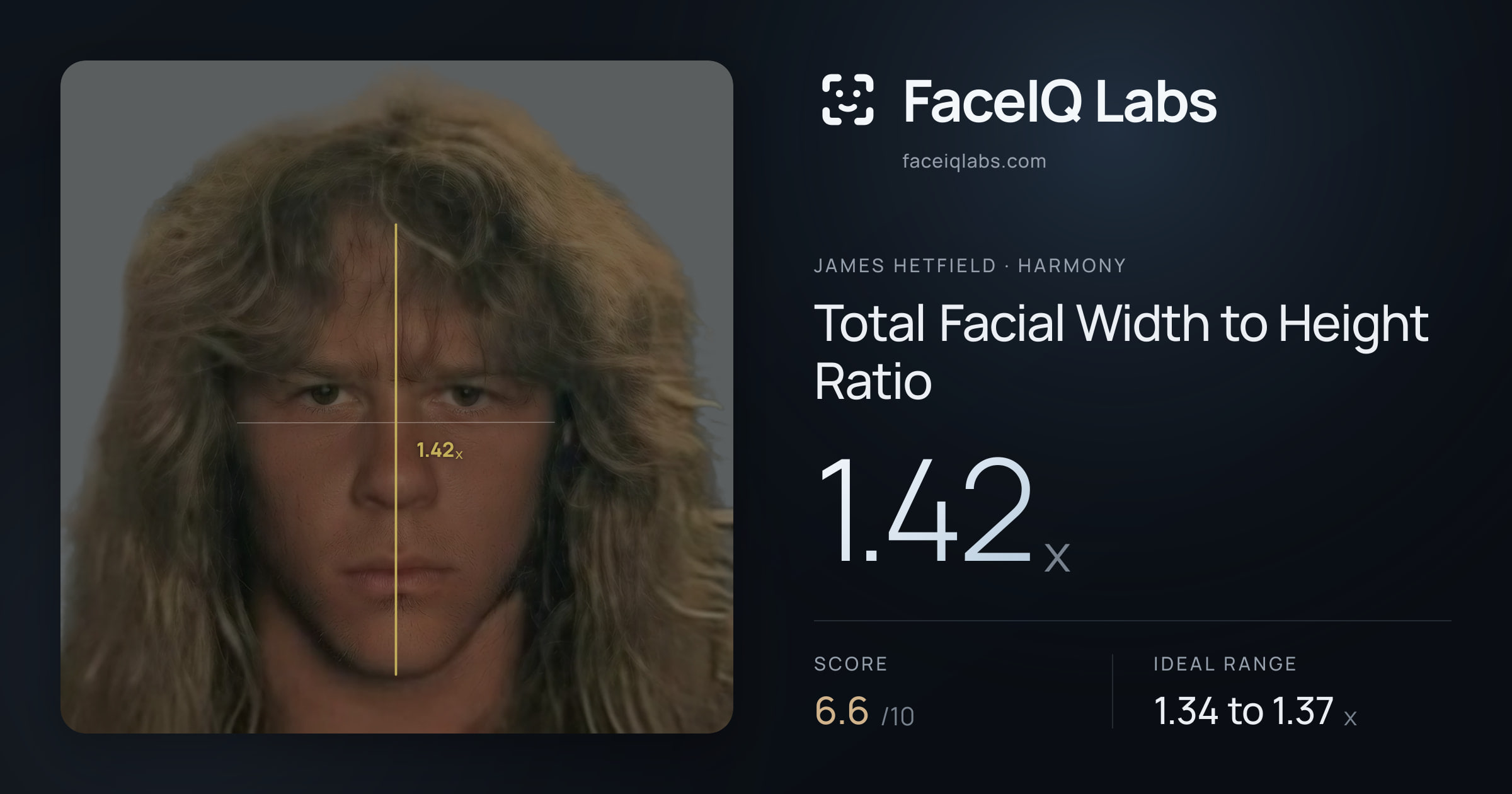 James Hetfield Total Facial Width to Height Ratio: 1.42x, drawn on the photo