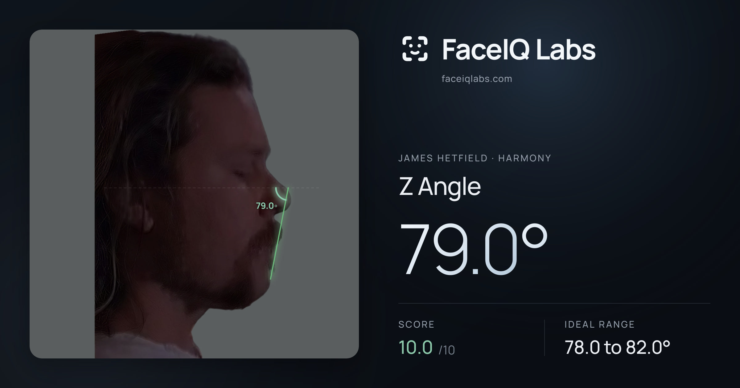 James Hetfield Z Angle: 79.0°, drawn on the photo