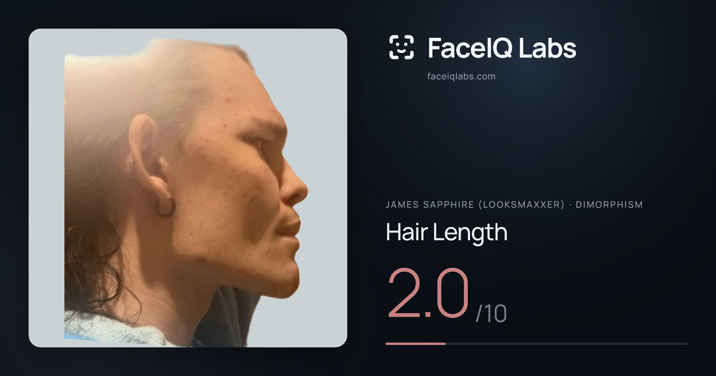 James Sapphire (Looksmaxxer) Hair Length: 2.0/10, drawn on the photo