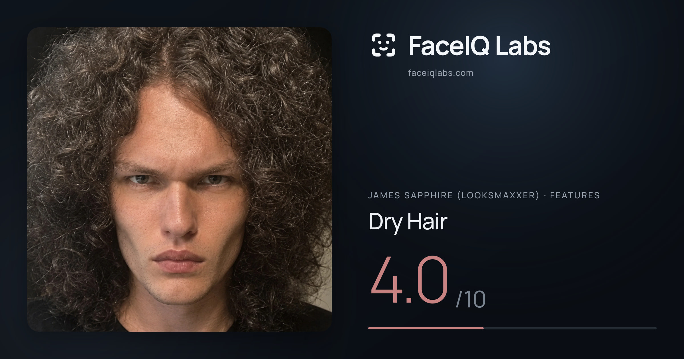 James Sapphire (Looksmaxxer) Dry Hair: 4.0/10, drawn on the photo