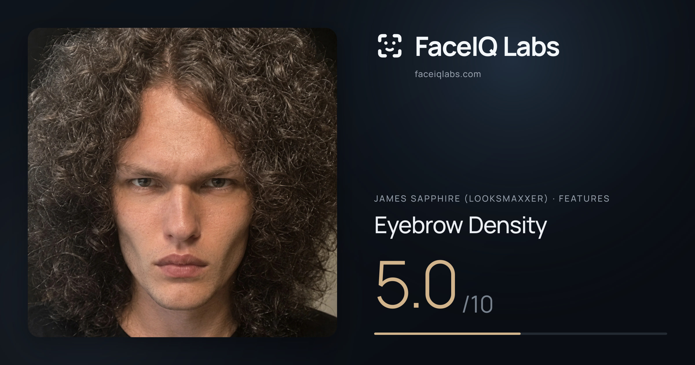 James Sapphire (Looksmaxxer) Eyebrow Density: 5.0/10, drawn on the photo
